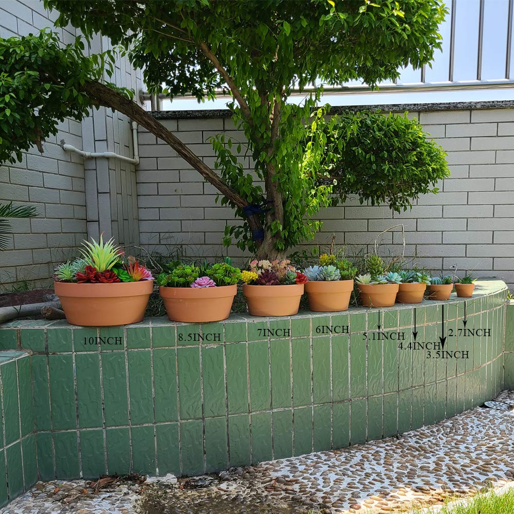 Yishang 5 Inch Shallow Terracotta Clay pots with Drain Hole,Ceramic Plant pots for Indoor/Outdoor Plants,Unglazed Bonsai Planter for Cacuts/Succulent Plants