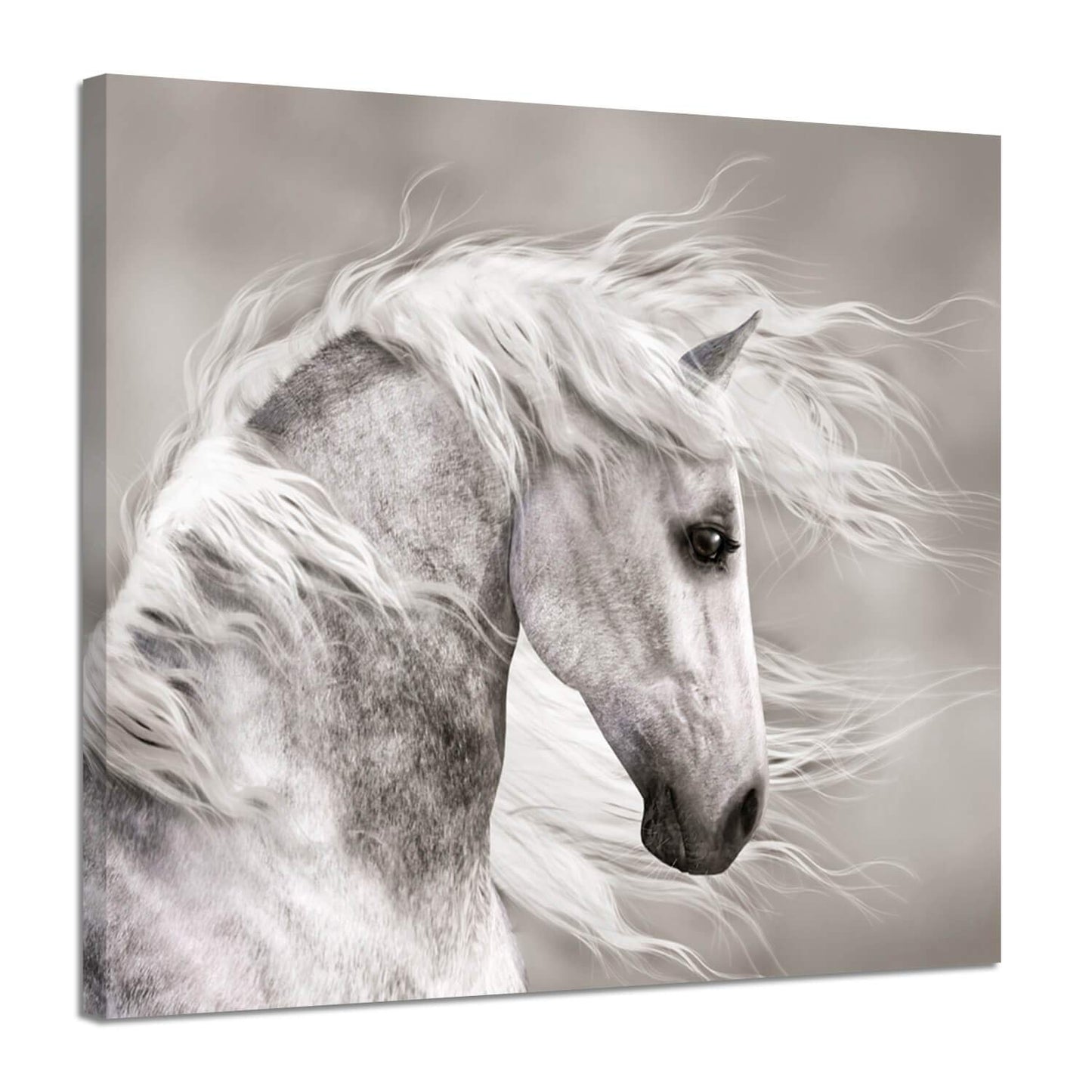 Hardy Gallery Animals Artwork Wildlife Picture Painting: Horse Head Graphic Art Print Wall Art for Wall Decor (24" x 18")