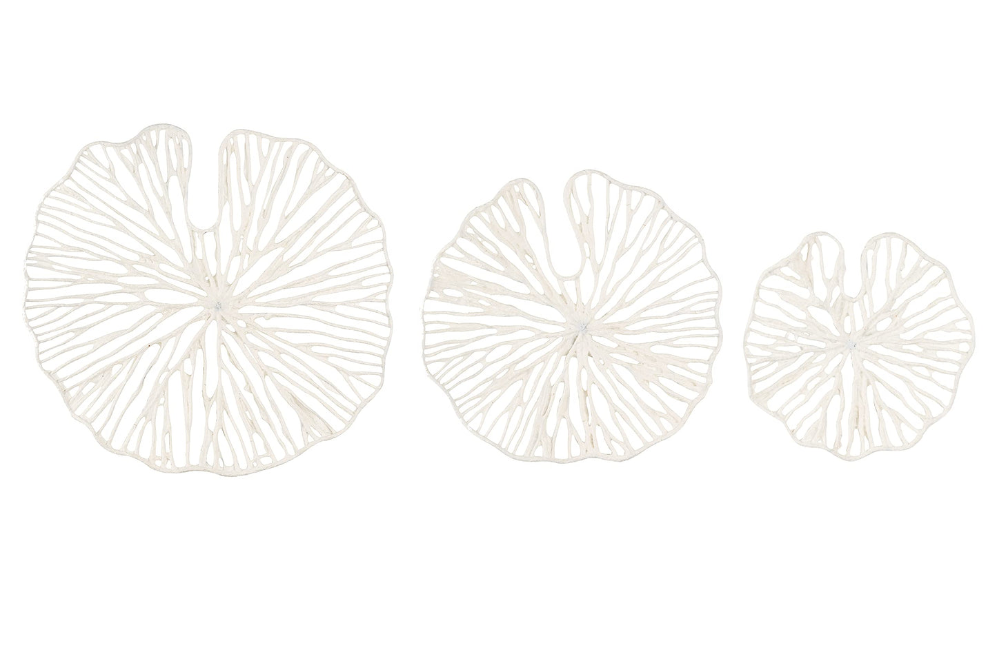 Creative Co-Op Handmade White Coral Shaped Paper & Metal Wall Décor (Set of 3 Sizes)
