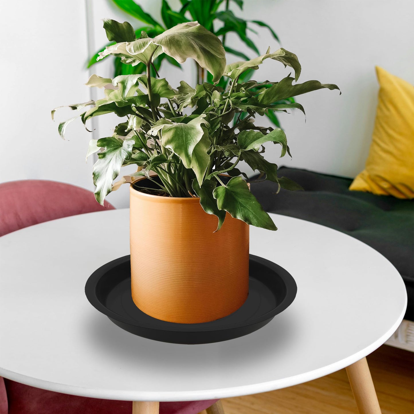 TNTIWQ 12 Pack 8 Inch Round Plant Saucers for Less 6.8 Inch Pot Indoors Outdoors Plant Trays for Pots Planter Saucer Plastic Plant Drip Tray Planter Water Tray for Potted Plants (Black, 8"(12pcs))