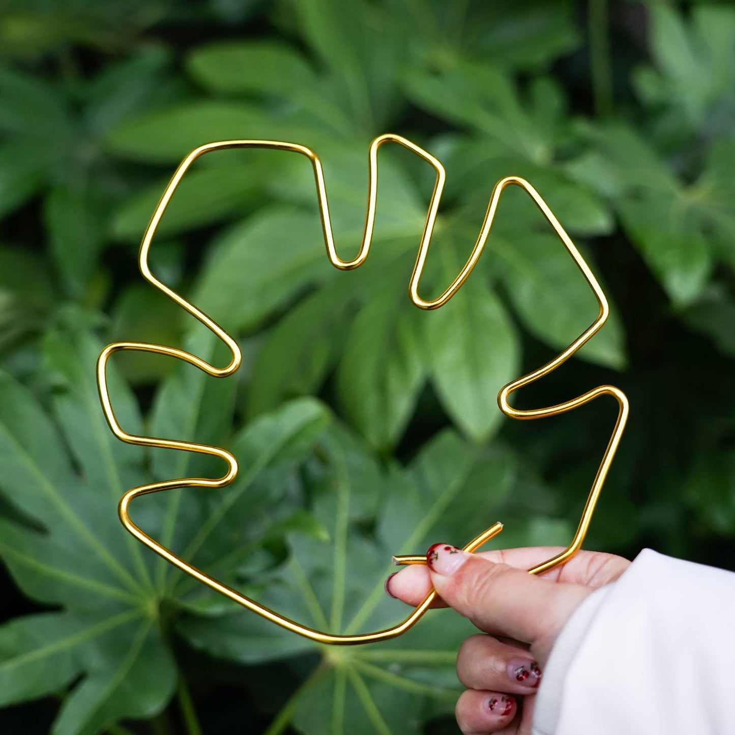 6PCS Monstera Plant Stem Support , Monstera Stabilizer Grapple Holder Unique Design for Turtle Shell Bamboo Clamp Set, Ideal Plant Support Stakes for Thriving Growth Indoor Climbing Plant (Gold)