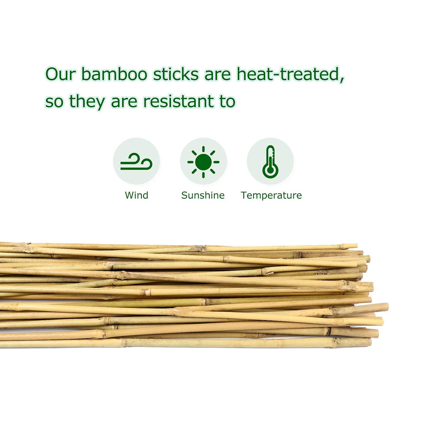 Cambaverd Bamboo Garden Stakes 3 Feet Plant Stakes for Roma Tomatoes Sunflowers Beans Potted and Climbing Plants - Pack of 25 Bamboo Sticks