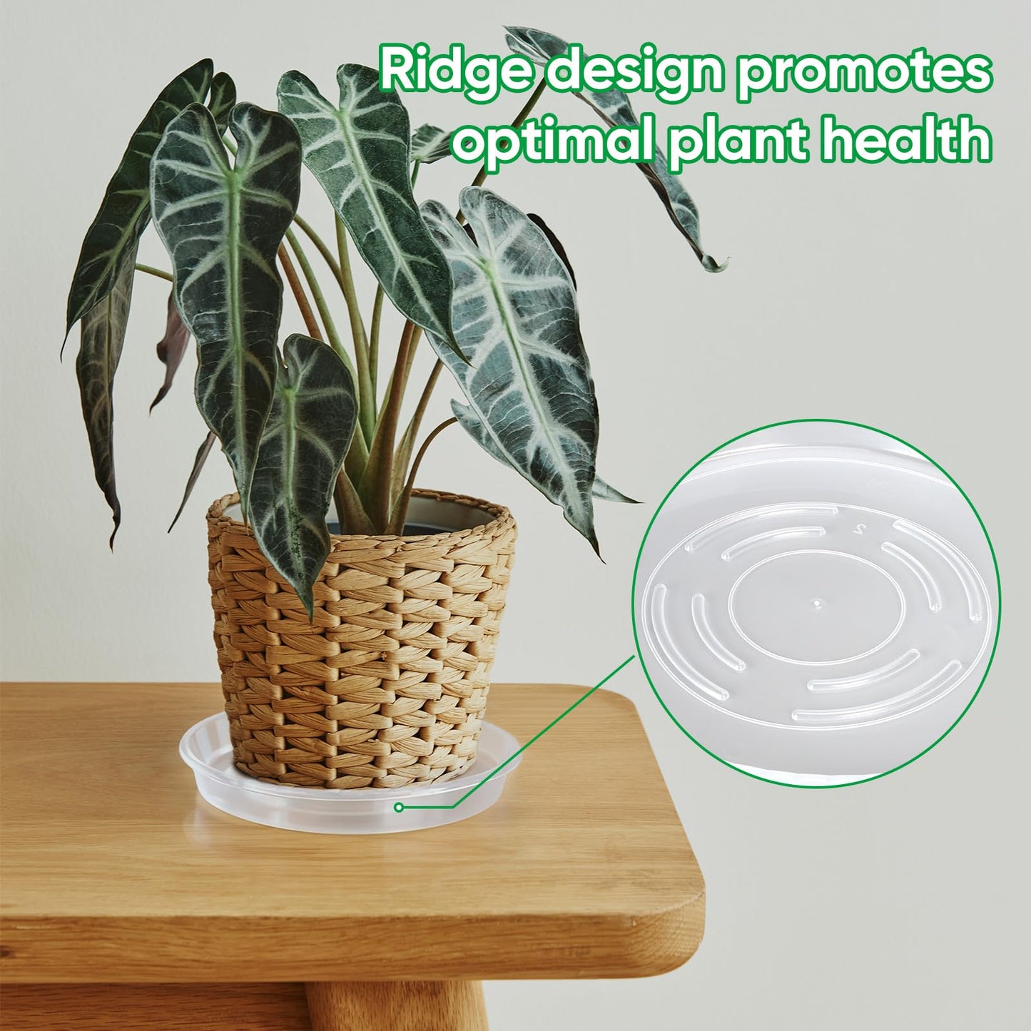 Dovesail 25 Pack Plant Saucer Tray, 6/8 / 10/12 /14 inch Heavy Duty Flower Pot Trays, Plastic Plant Saucer for Indoor & Outdoor Plants, Plant Trays to Catch Water, 5 Pieces of Each Size