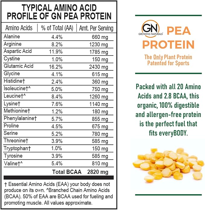 Raw Pea Protein Powder, Vegan Plant Based Protein, BCAA, Low-Carb, Low-Sugar, Original Unflavored, 1 Pound (Pack of 1)