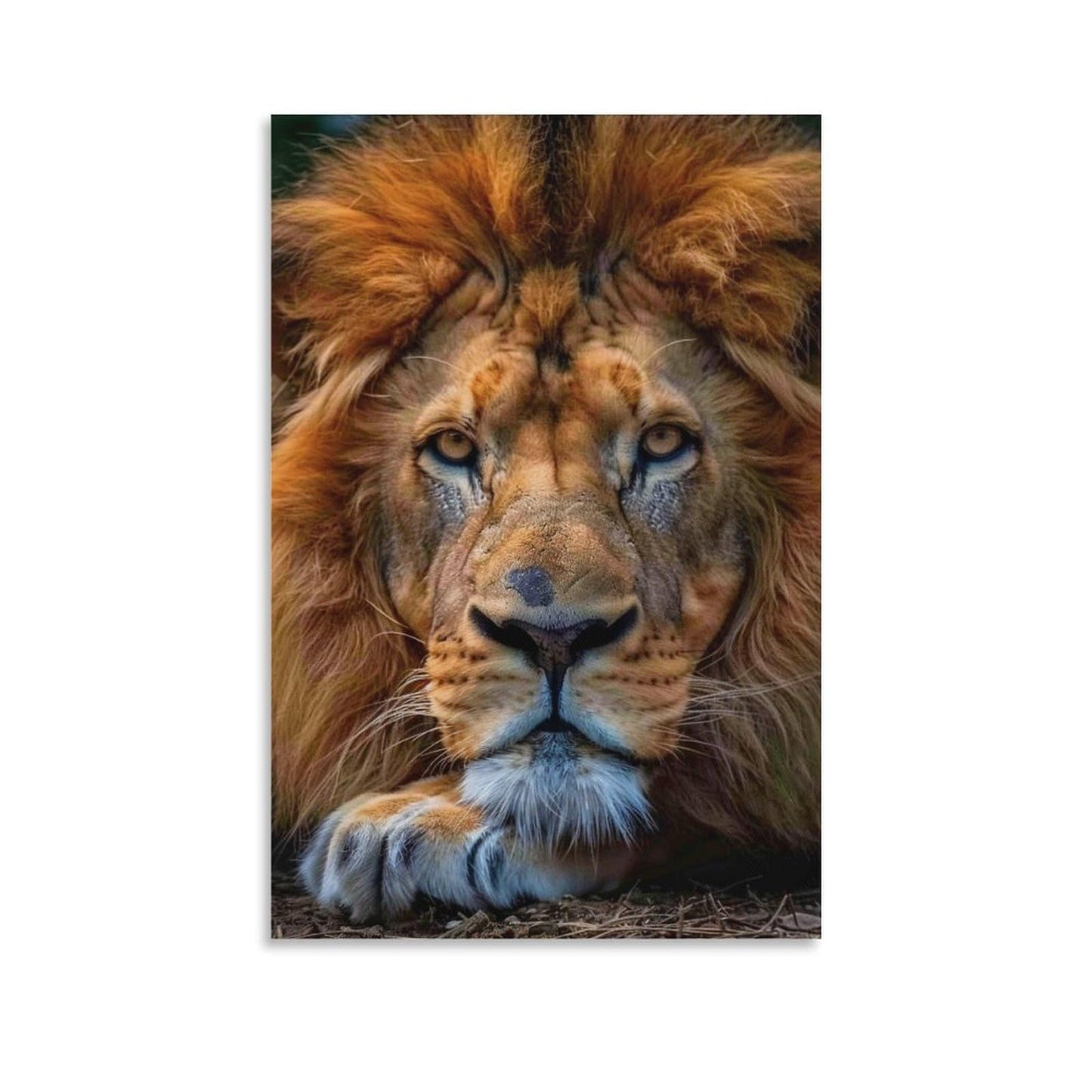 QEOPGNE African Lion Portrait Animal Cool Poster Canvas Wall Art Posters & Prints Painting for Bedroom Classroom Dorm Living Room Aesthetic Decor for Mens Women Framed Unframed 12x18inch(30x45cm)