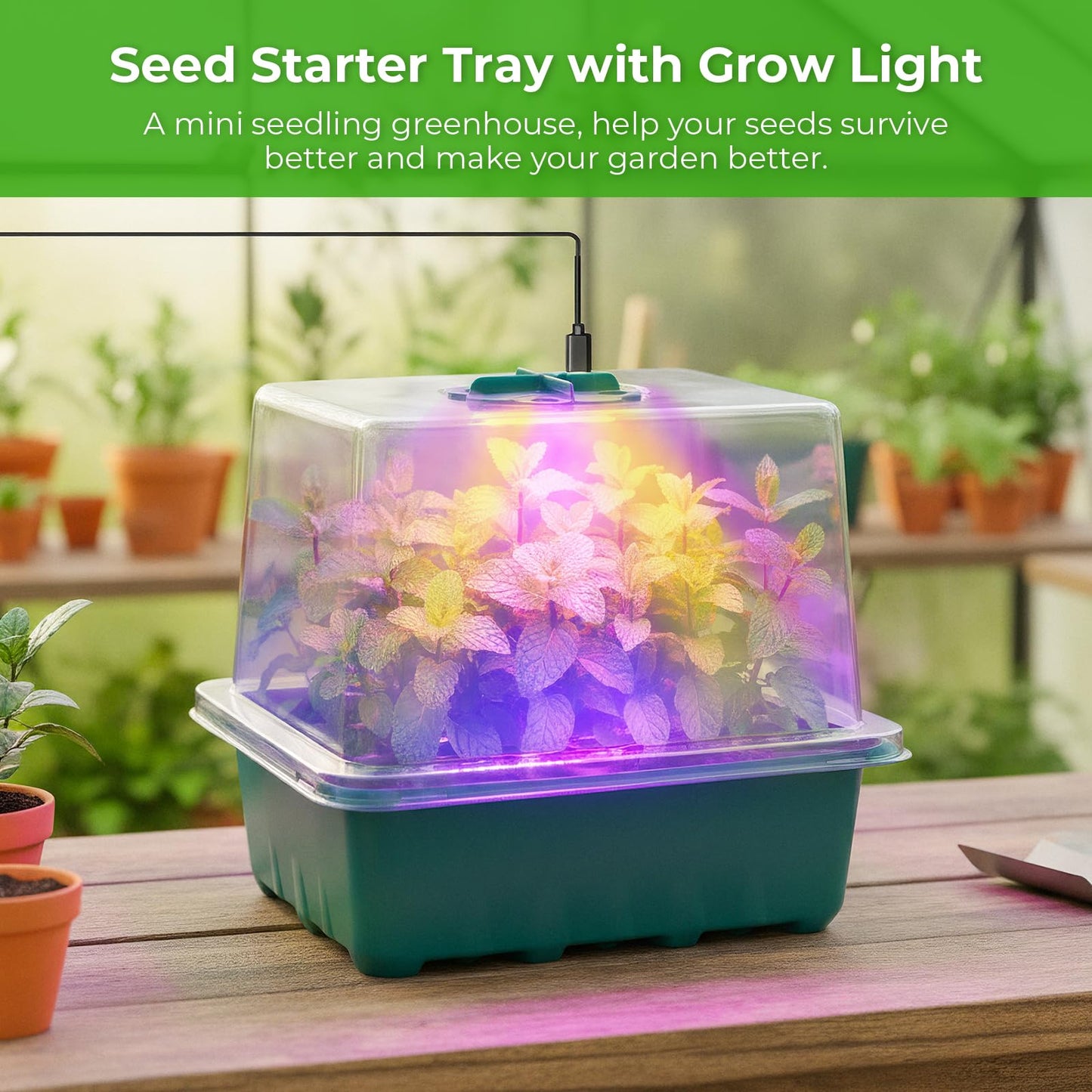 Seed Starter Tray with Grow Light, 6pcs Seed Starter Kits with Light and Humidity Domes, Timing Controller & Adjustable Brightness & 3 Light Mode, Indoor Seedling Starter Plant Germination Trays