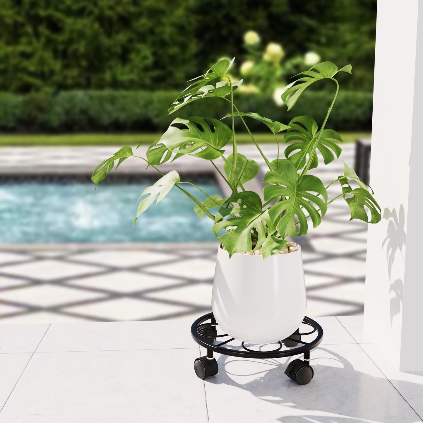 Chinpakden 1 Pack Rolling Plant Stands with Wheels - 10.24" Plant Caddy, 360 °Rotatable and Lockable Plant Rollers, 80LB Weight Capacity, Plant Dolly for Moving Plant Wine Barrels Heavy Objects.