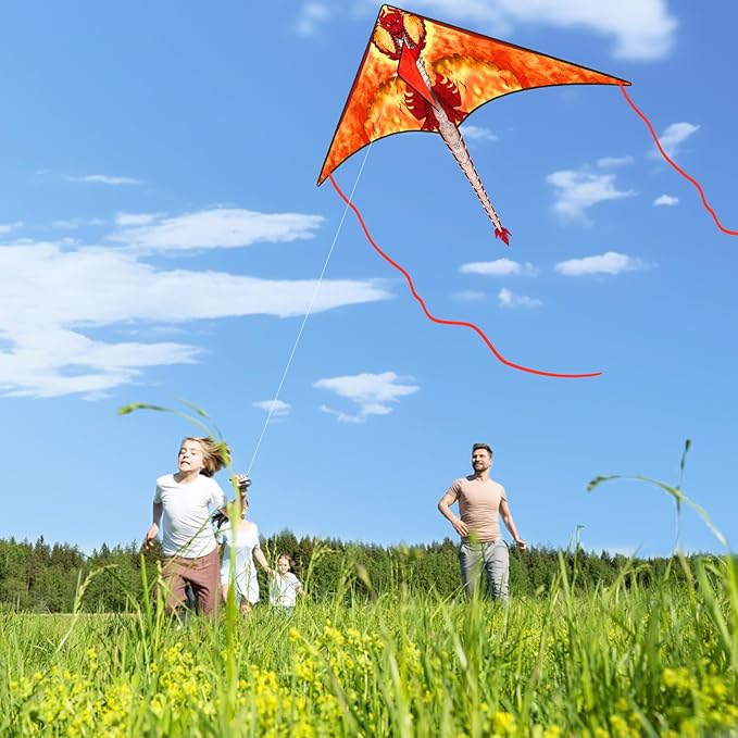 Kite for Kids 4-8 & 8-12, Delta Kites for Kids & Adults Easy to Fly, Huge Dragon Kites for Beginner, Beach Trip Park Family Outdoor Games and Activities