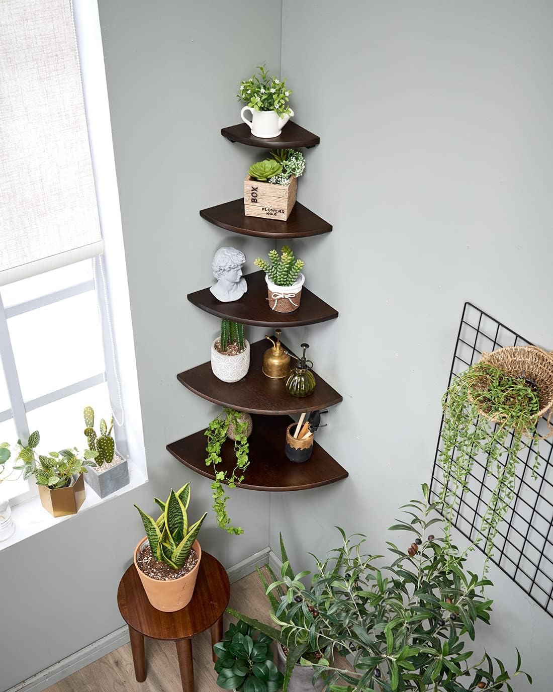 Conamily Corner Shelf,14inch Walnut Solid Wood Floating Corner Shelves Wall Mount Round End Floating Speaker Rack with Wire Hole for Small Plant for Bedroom Kitchen, Living Room