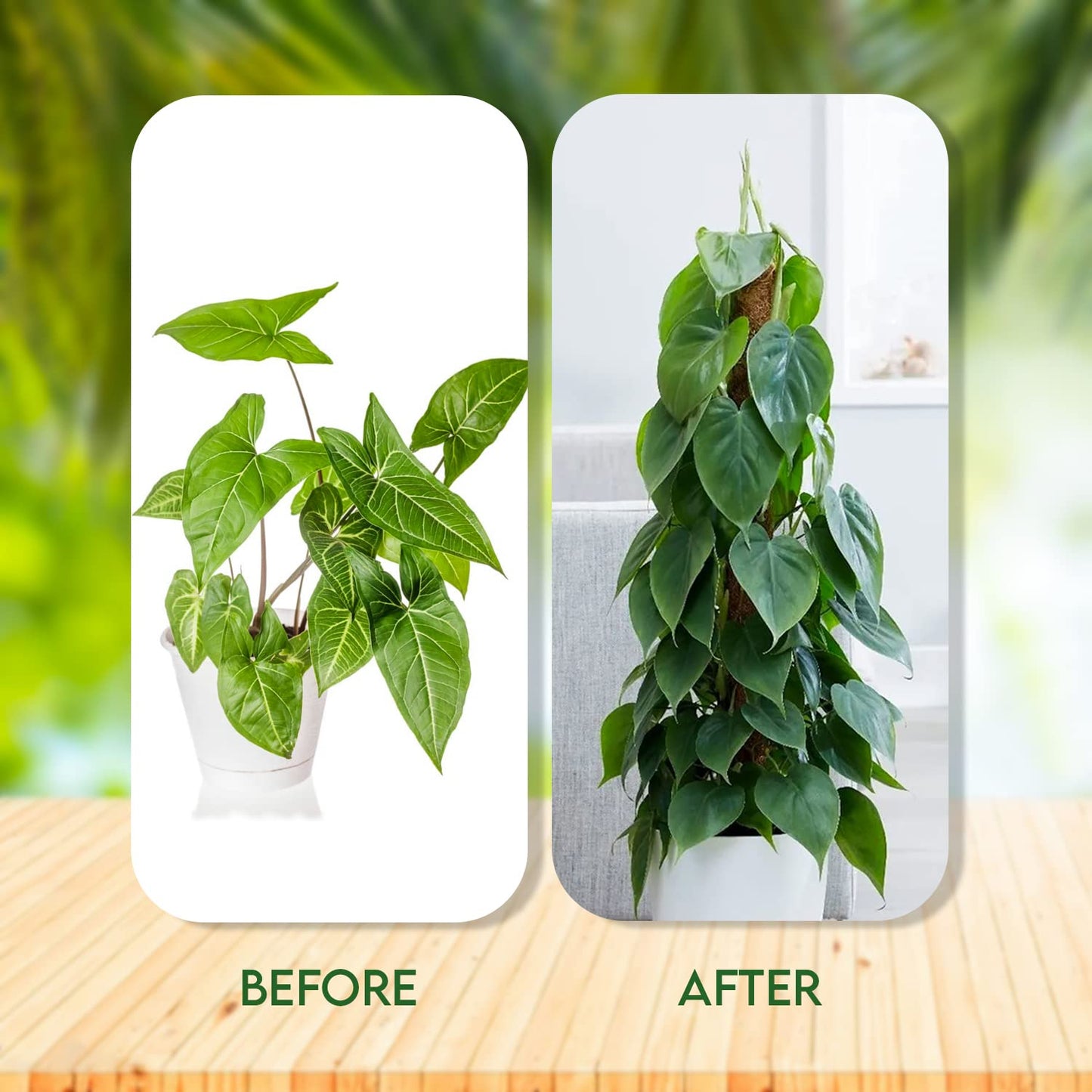[4 Pack] 49 Inches Moss Pole- Moss Pole for Plants Monstera- Moss Poles for Climbing Plants- 2 Pcs 17” and 2 Pcs 15” Plant Stakes for Indoor Plants.