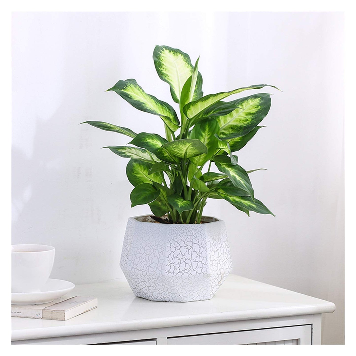 Plants Flower Pots Outdoor Indoor Garden Planters Ceramic Plant Containers with Drain Hole Modern Flower Pot for All House Plants Flowers Herbs Gardening Pot (Size : Brass)