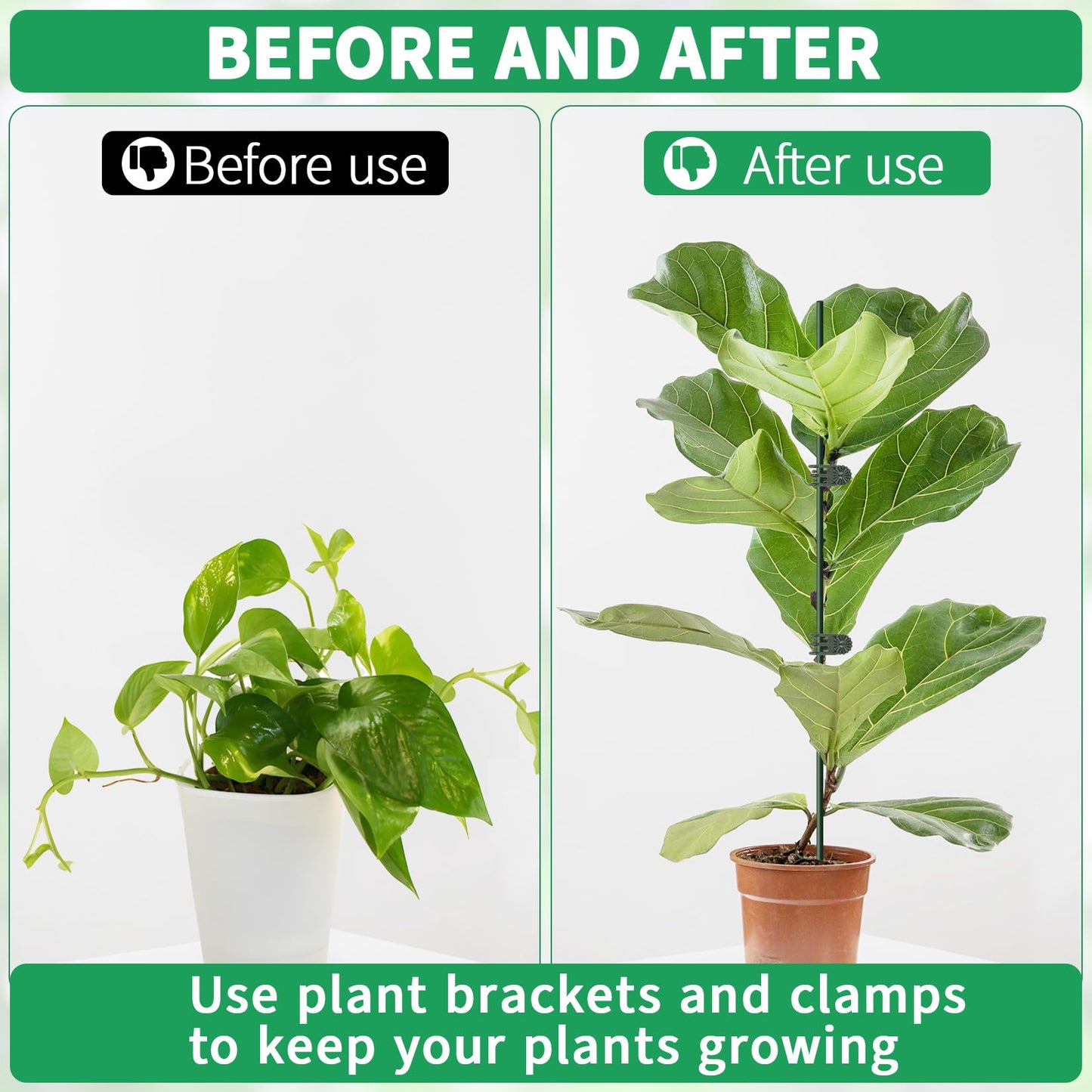 20pcs 15.7" Plant Stakes with 30pcs Clips, Bendable Orchid Stakes and Clips Set Support Tall for Indoor/Outdoor Plants,Potted Plants,Single Stem Vines Flower Plant Support Sticks for Orchid Rose Peony