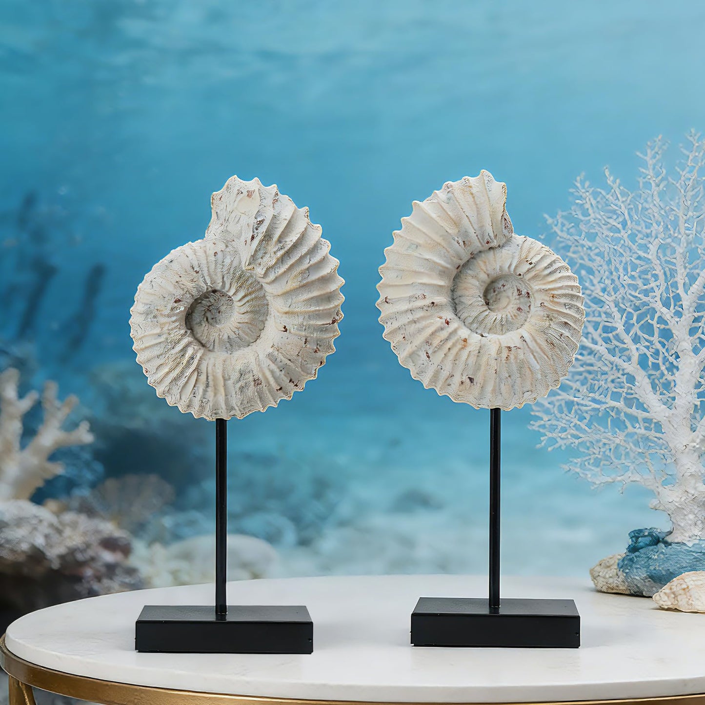 Conch Shell Coastal Room Decor - Ocean Beach Themed Room Decor Set Nautical Wall Art Accents for Bedroom Living Room Bathroom Porch Table Decor Coastal Aquarium Décor 13*11.4*21 Inch LC Lcdecohome