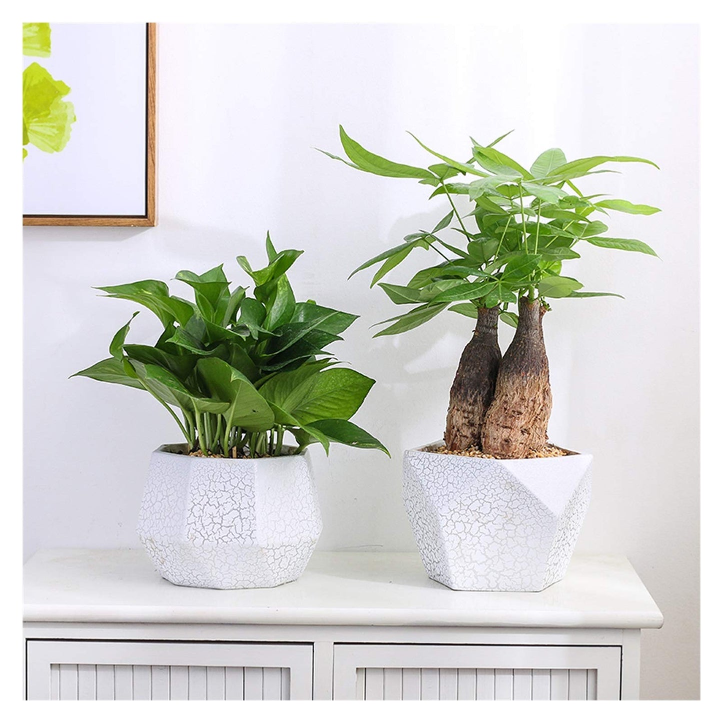 Plants Flower Pots Outdoor Indoor Garden Planters Ceramic Plant Containers with Drain Hole Modern Flower Pot for All House Plants Flowers Herbs Gardening Pot (Size : Brass)