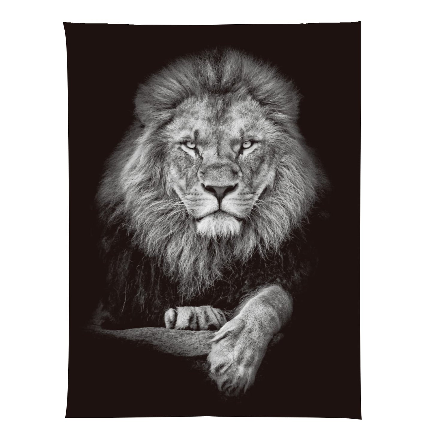 Jaccaws Black and White Lion Wall Hanging, 59''x 79'' for Bedroom, Living Room, Office