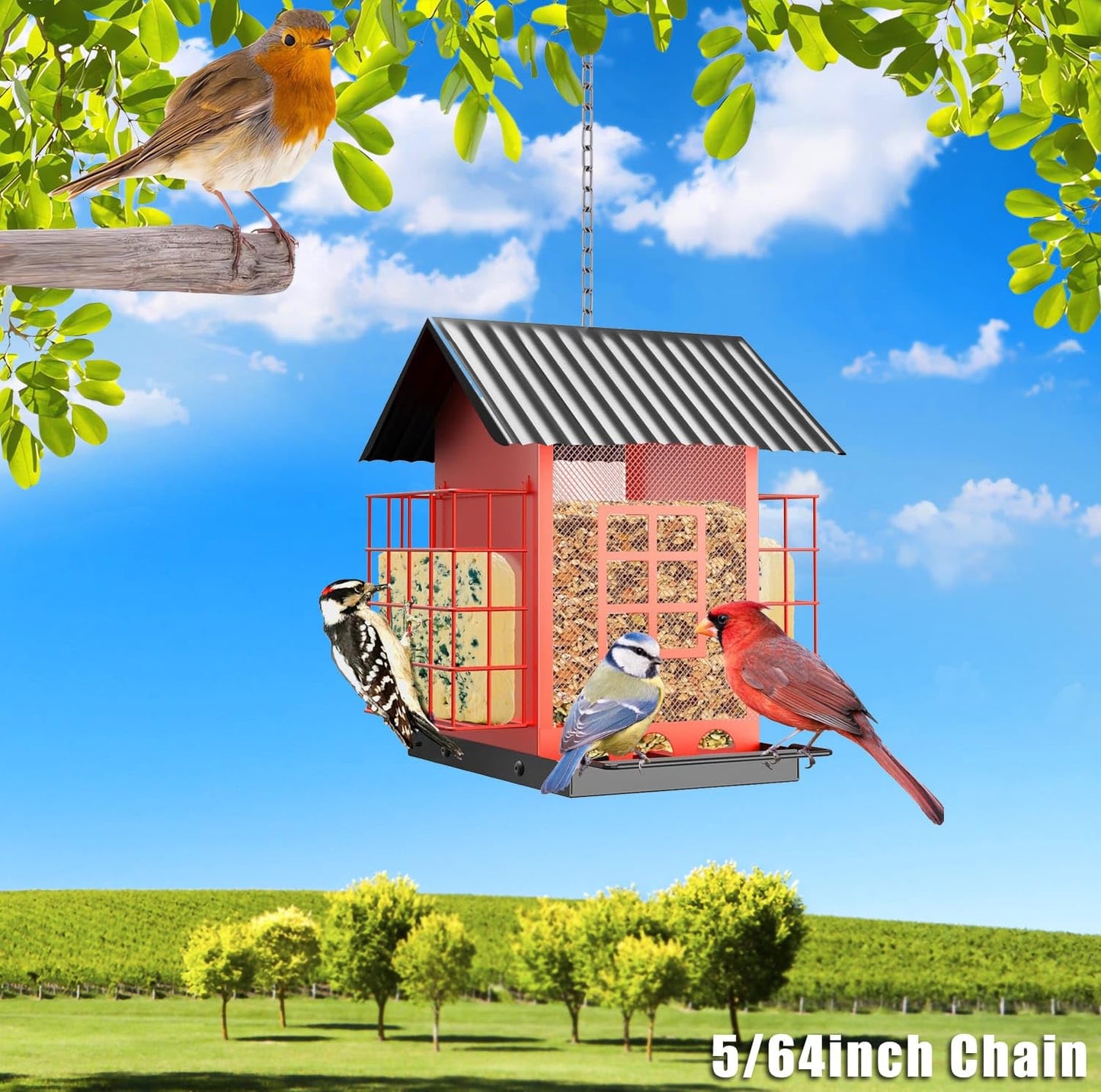 Stainless Steel Chain, Lsqurel 6.5ft Metal Link Chain 5/64in Small Light Duty Chain for Home Outdoor Camping Hanging etc (5/64in-6.5ft)