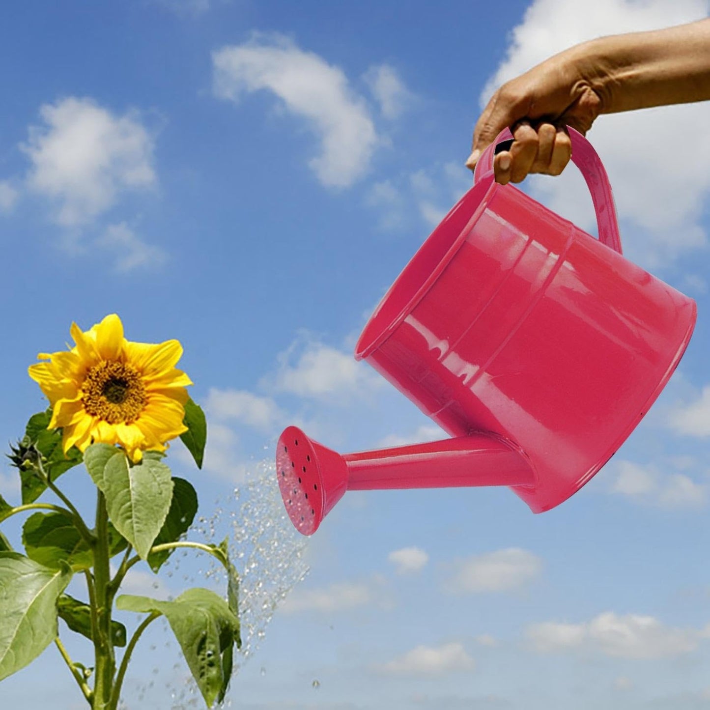Watering Can, 1L Metal Flower Garden Watering Can, Lightweight Durable Decorative Gardening Tool for Outdoor Indoor Plants Lawn Garden (Dark Pink)