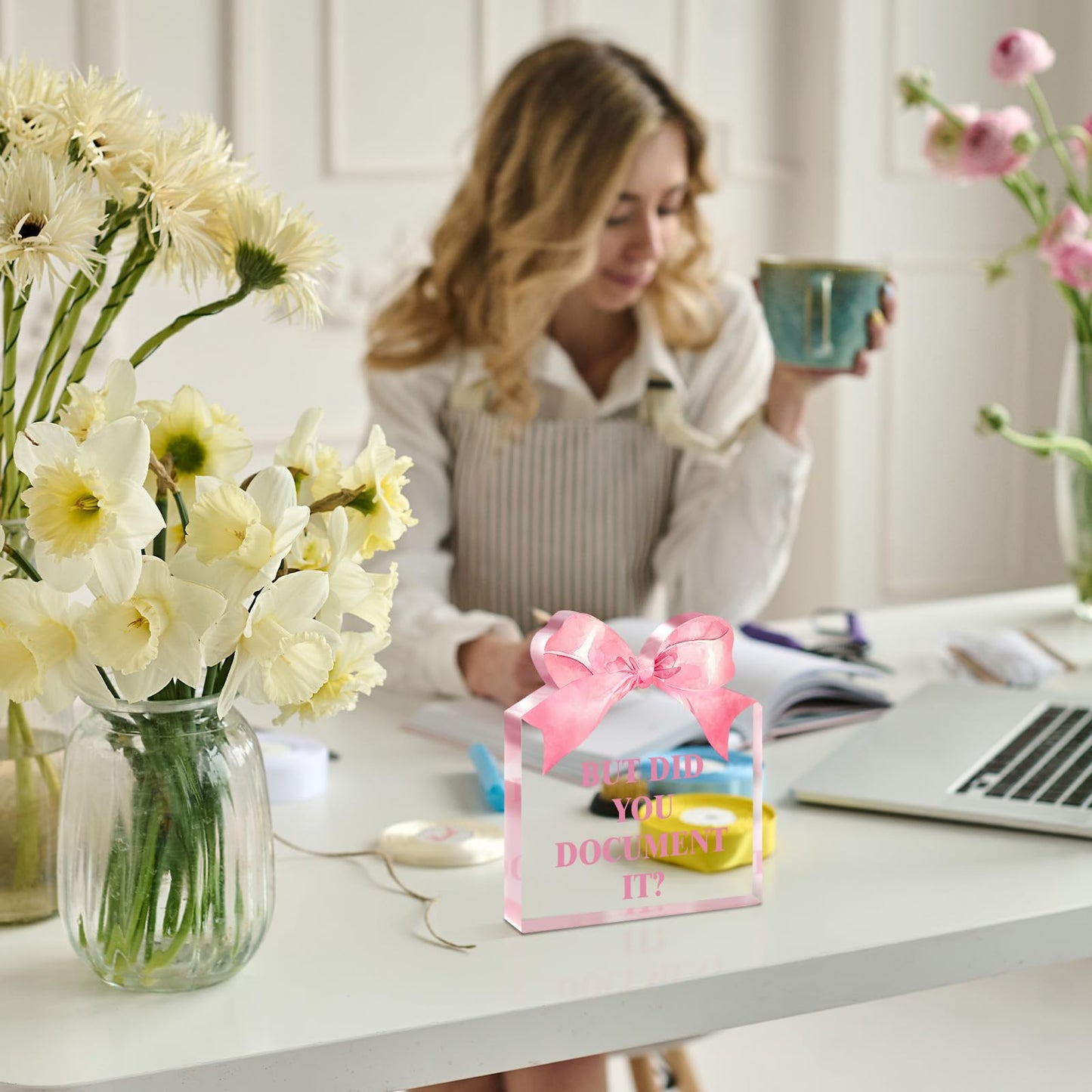 Pigort Pink Office Decor for Women - But Did You Document It -Funny Office Desk Decoration Gift for Colleague Boss Friend Teacher Coach Family 5.1x5.5inch