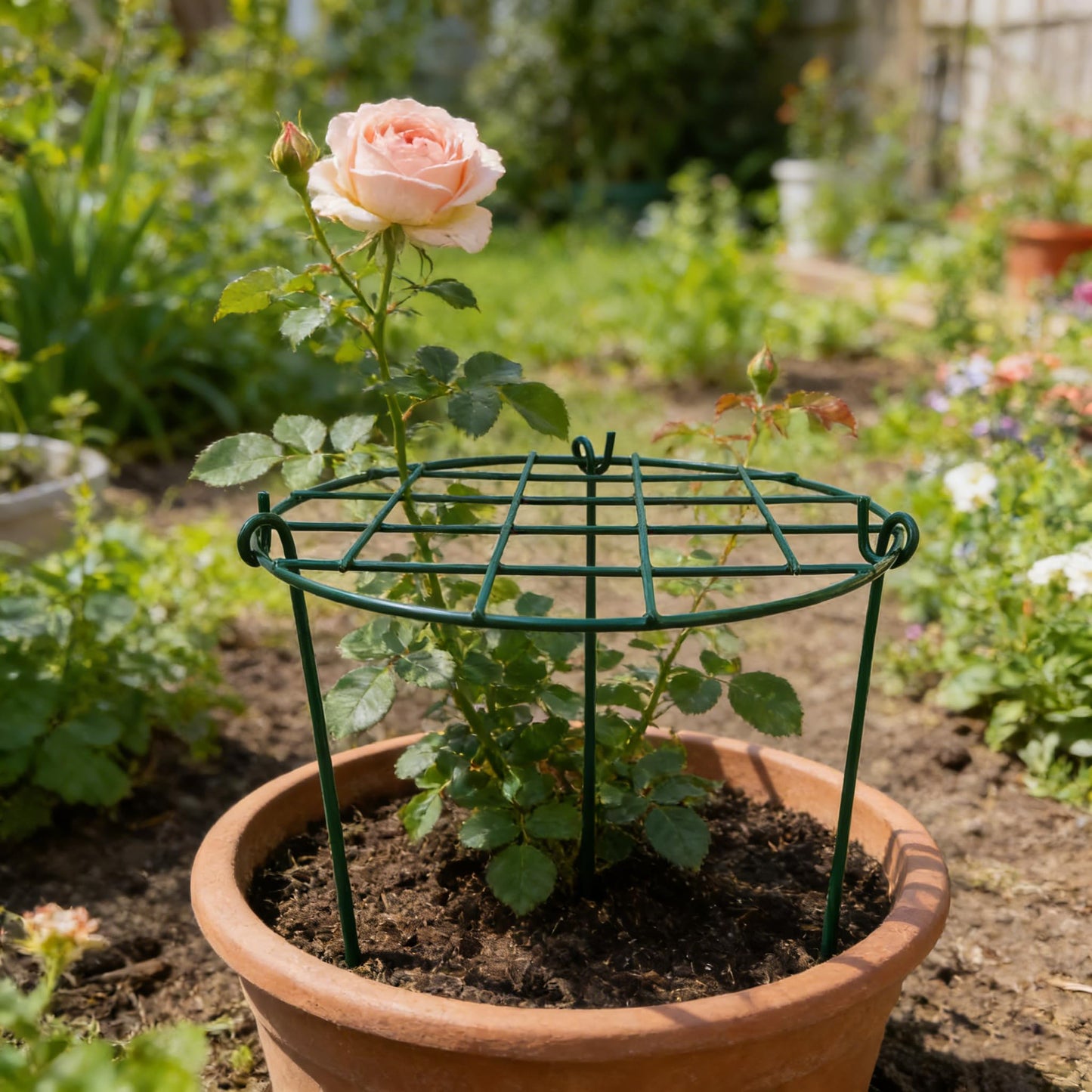 MTB Supply 10 Pack 16 x 24 inch Green Peony Cages Grow Through Plant Support Stakes Flower Support Hoops Heavy Plants Brace Rings