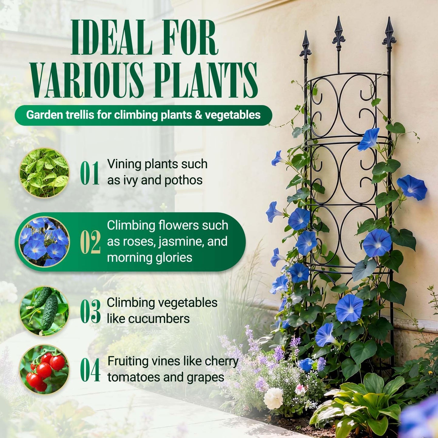 2 Pack 56.7'' H x 12'' W Garden Trellis for Climbing Plants Outdoor, Rustproof Metal Garden Flower Trellis, Rose Trellis for Outdoor Indoor Climbing Plants Clematis Vines Flowers Potted Plants, Tomato