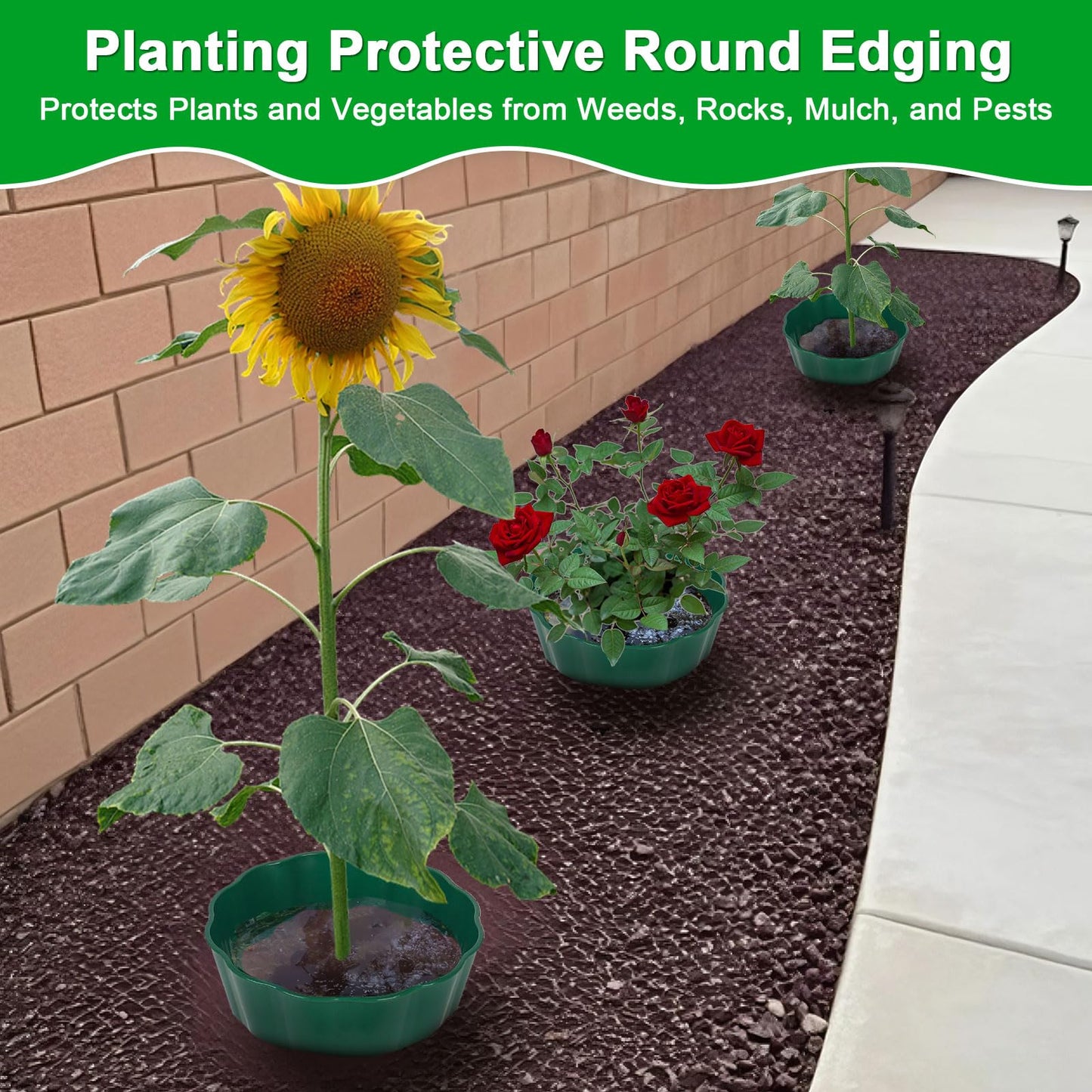 pdpdoc 6 Pack of 7 Inch Planting Grow Rings, Planting Protective Round Garden Edging, Keeping Plants Separated, Weed Control and Directing Water to the Roots (7 Inch - 6 Pack - Green)