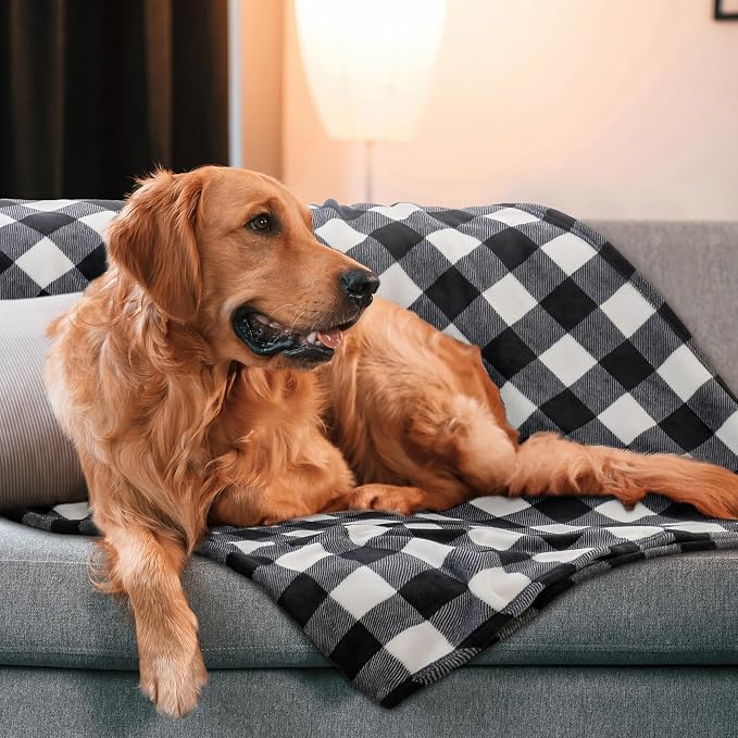 BEDELITE Plaid Fleece Twin Blanket for Couch & Bed, Black & White Checkered Flannel Blanket, Cozy & Soft Buffalo Plaid Decor Blanket for Women, Men, 60"x80"