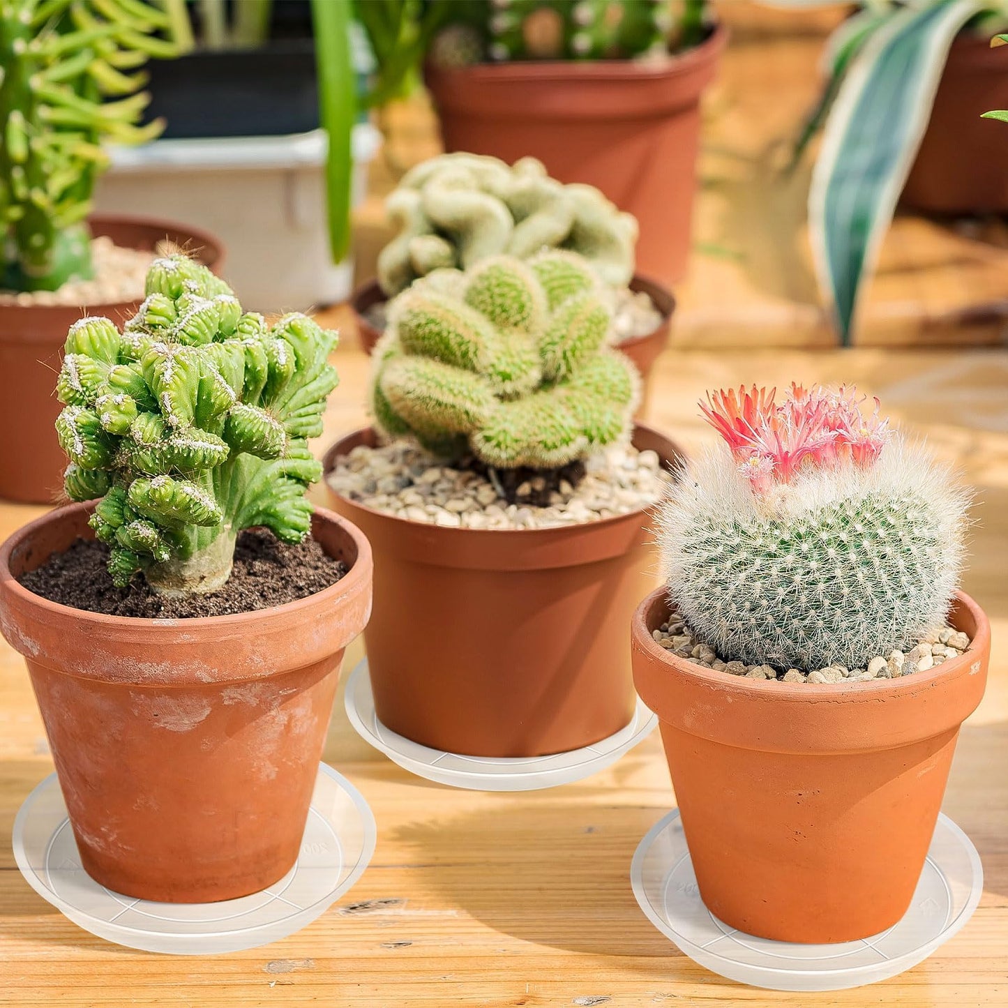 Augshy 18 Pack Plant Suacer 4/6/8/10 Inch Plant Drip Trays for Pots Clear Plant Pot Trays Water-Repellent Plant Saucers for Gardens Balconies and Indoors