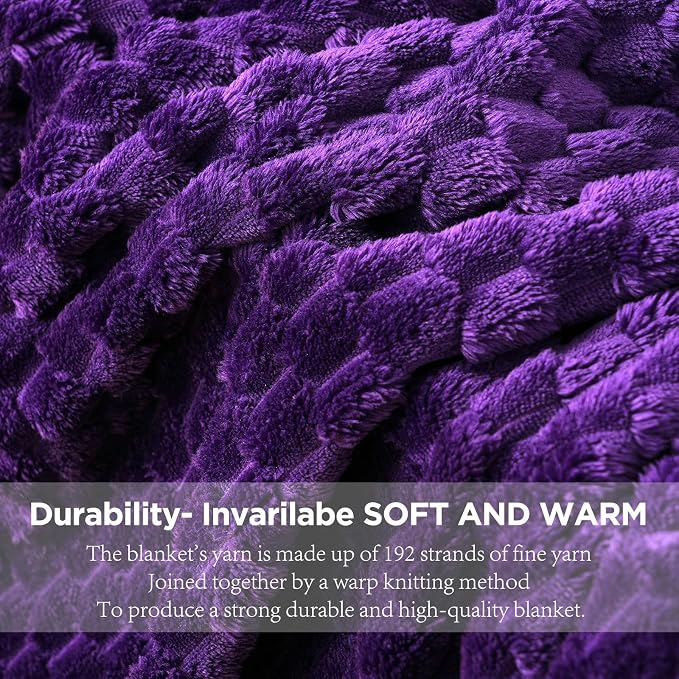 Zyrah Fleece Throws for Couch Super Soft Throw Blanket Lightweight Decorative Fuzzy Cozy Blankets for Sofa Chair Bed (A-Purple, Twin(60"x80"))