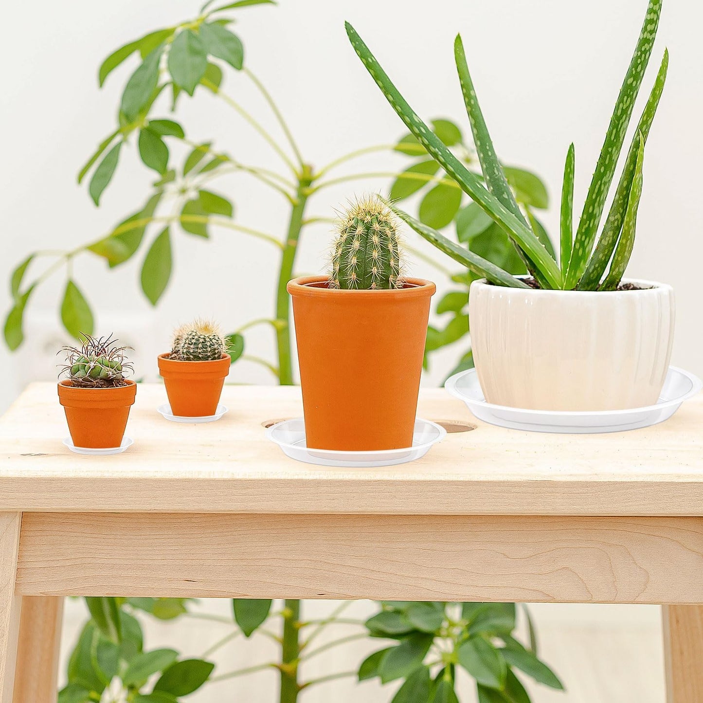 Augshy 18 Pack Plant Suacer 4/6/8/10 Inch Plant Drip Trays for Pots Clear Plant Pot Trays Water-Repellent Plant Saucers for Gardens Balconies and Indoors