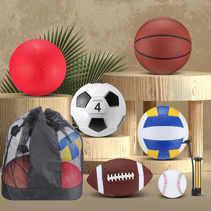 Leyndo 18 Pcs Sports Ball Set for Kids, Official Size Basketball Football Soccer Ball Playground Volleyball Baseball Outdoor Sport Equipment Bag and Pump Back to School Gift