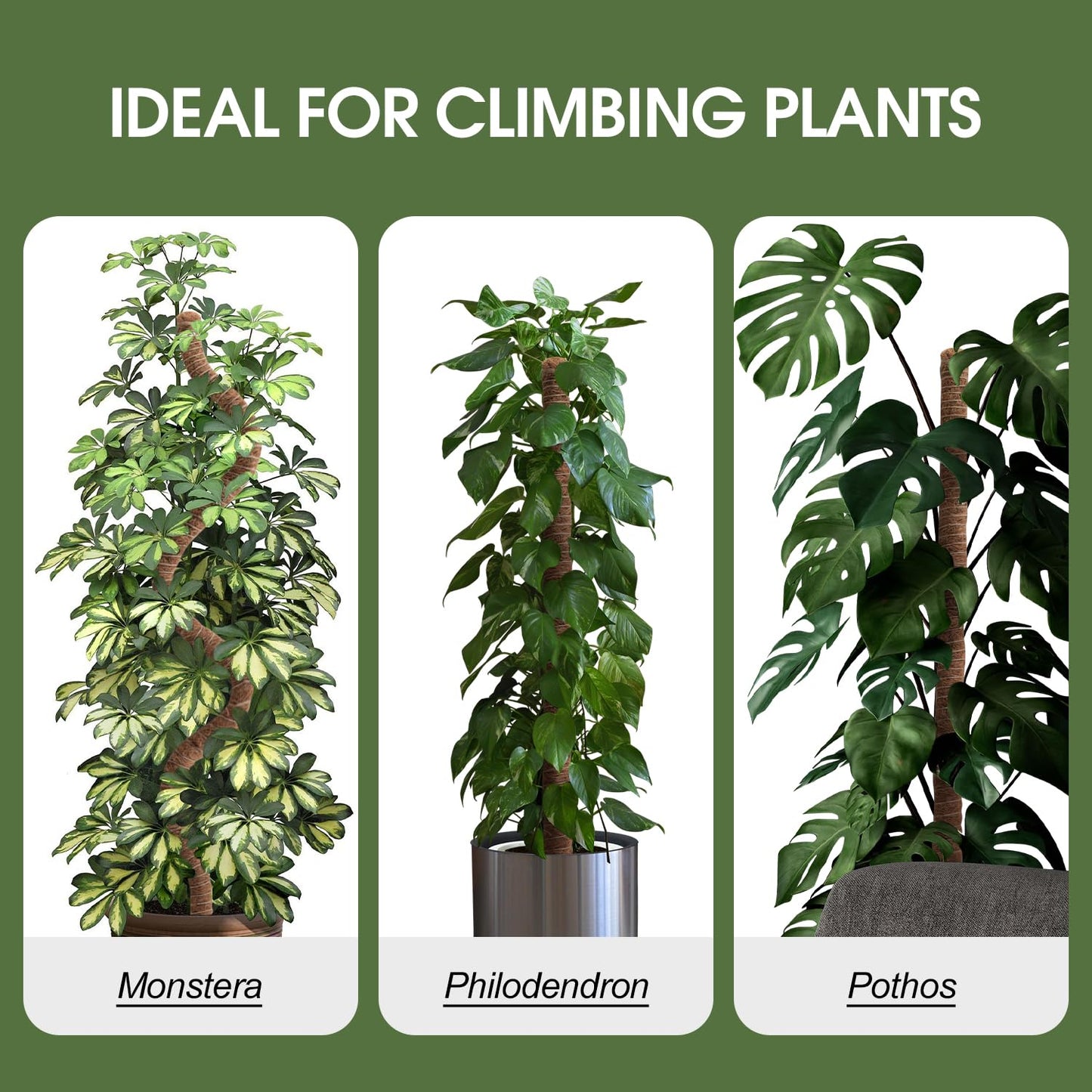 3 Pack Moss Pole 63 Inch Monstera Plant Support Moss Poles Bendable for Climbing Plants Longer Coco Coir Sticks Support Stakes Tall for Indoor Creeper DIY Shape Plants Grow Upwards