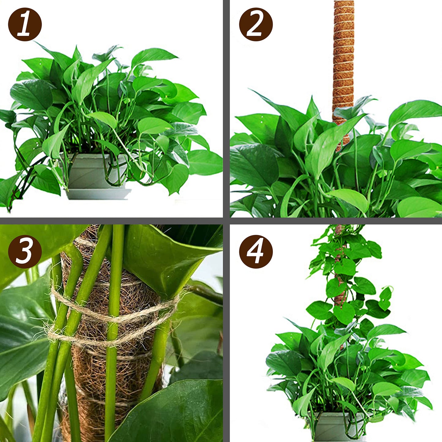 60 Inch Moss Pole for Plants Monstera, Tall Bendable Moss Poles for Climbing Plants Indoor, Large Handmade Plant Pole Sticks, Coco Coir Plant Support Stakes for Potted Plants, Pothos