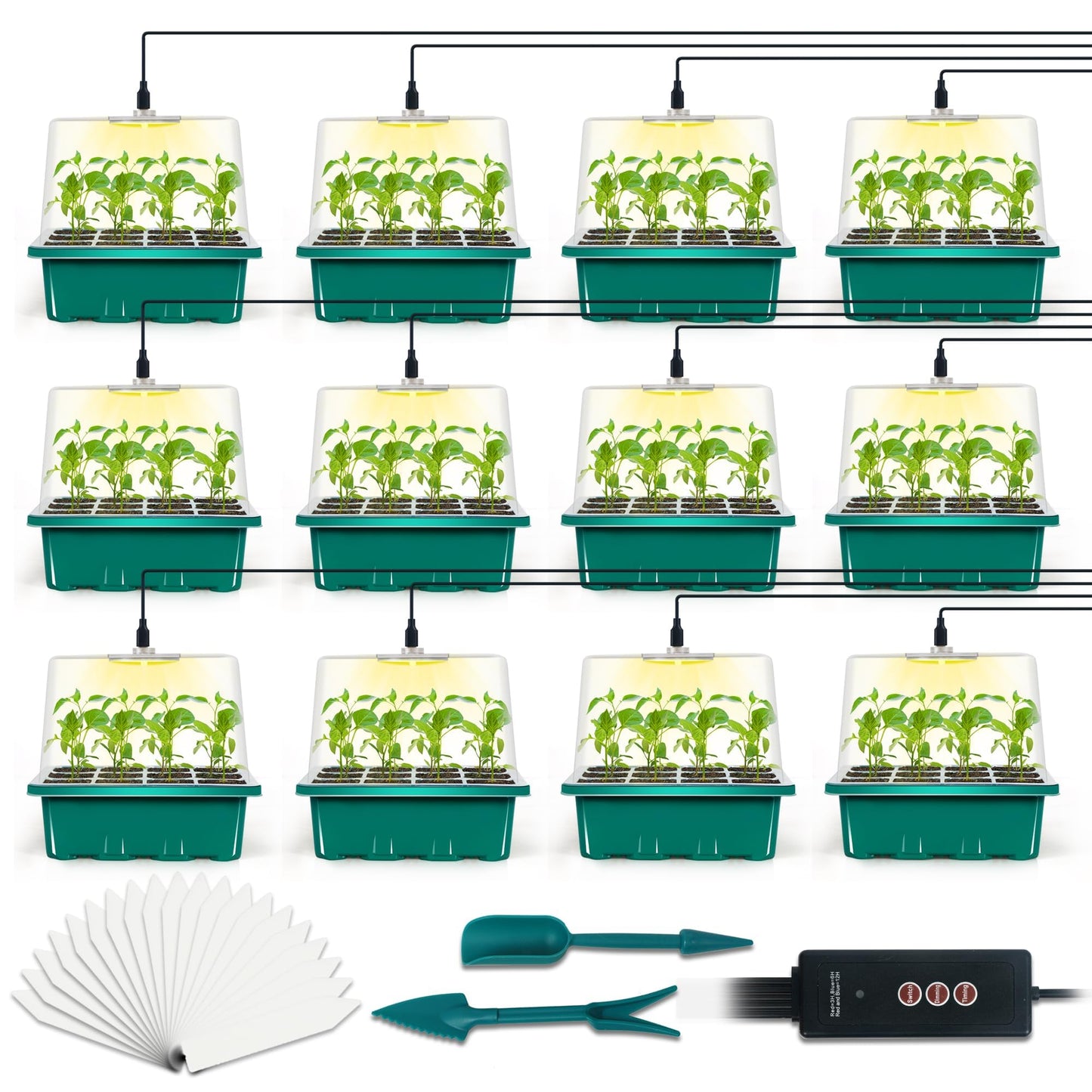 LYDTICK 12-Set Seed Starter Tray with Grow Light, Seed Starting Trays Kits with Timing Controller Adjustable Humidity Domes Heightened Lids(12-Cells Per Tray)