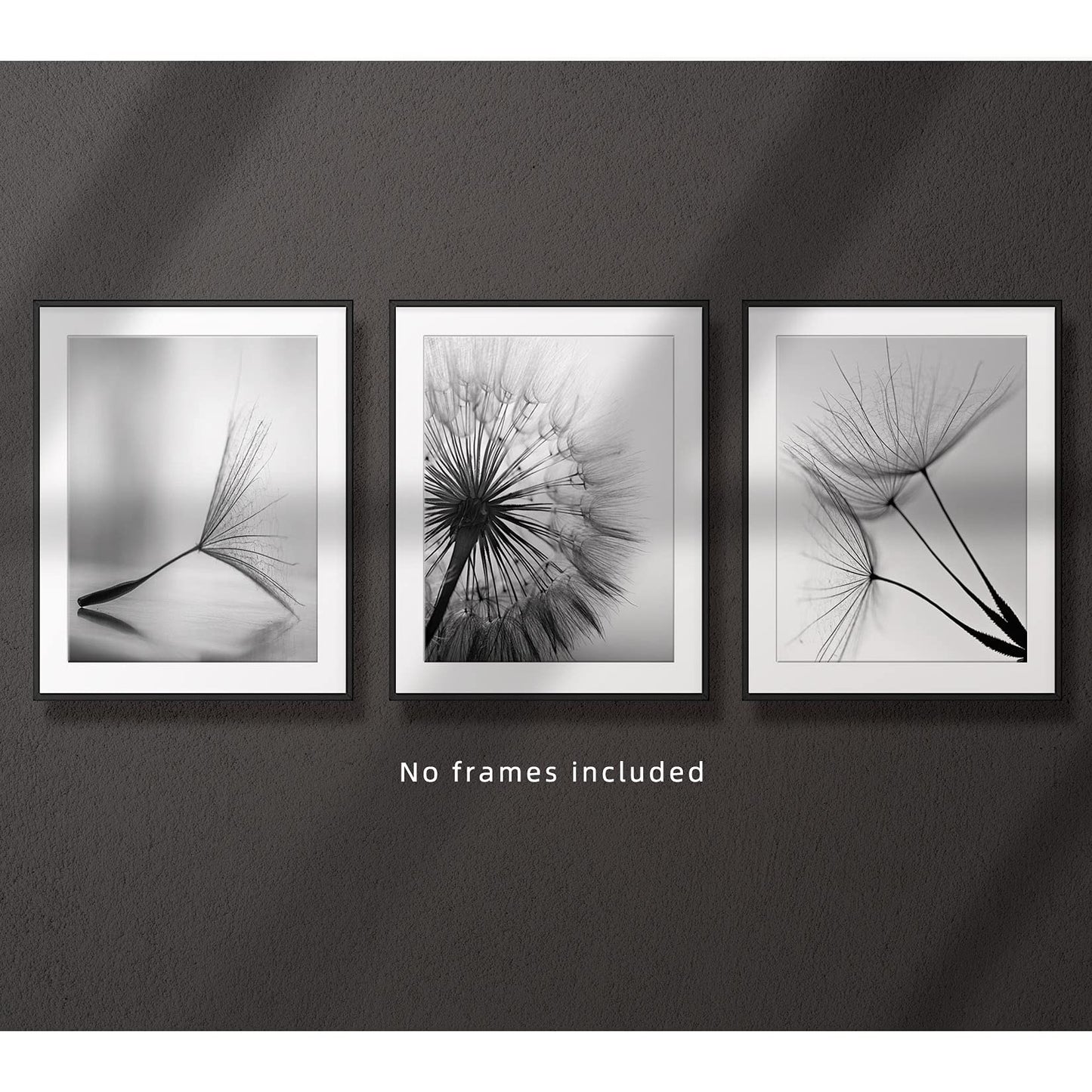 Black and White Wall Art Prints Posters Minimalist Decor, 8x10 Canvas Prints Unframed Set of 3, Plant Posters Aesthetic for Living Room