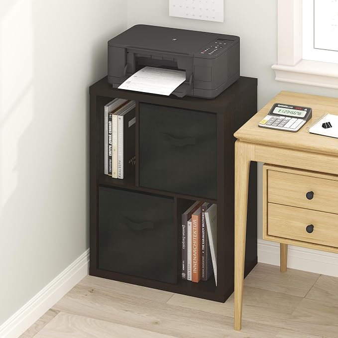 Furinno Viola Storage Shelf, 2-Tier Display Rack with 2 Drawer Bins, Extra Thick Frame Bookshelf, Reversible, for Organization, Living Room, Home Office, Black Dark Oak