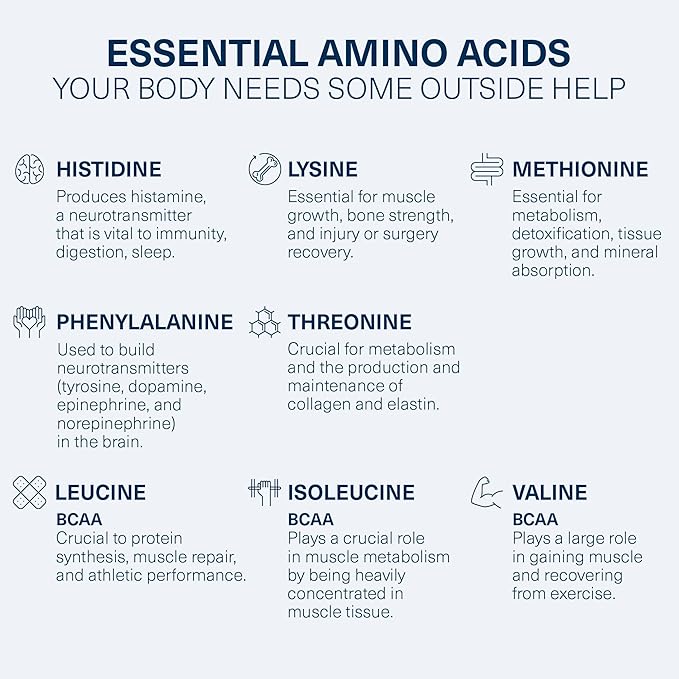 The Amino Co. - Heal - Post Workout Recovery Drink with Pure Eaa Amino Acid Formula - Creatine Monohydrate Powder for Efficient Muscle Repair, Vegan, and Keto-Friendly with Chocolate Flavor - 13.23oz.