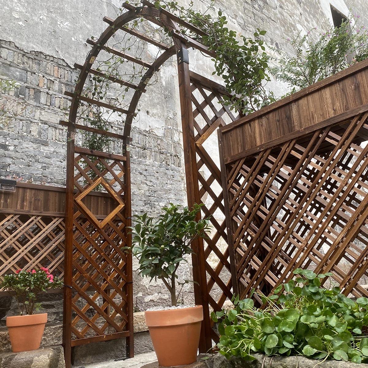 KUYBTU Sturdy Garden Arch Trellis Wooden Rose Arbor Arbour 47" X 82.6" /63" X 93" /81.8" X 102.7" Pergola Archway for Various Climbing Plant Backyard Decoration Weather Resistan-Natural-140x50x227cm