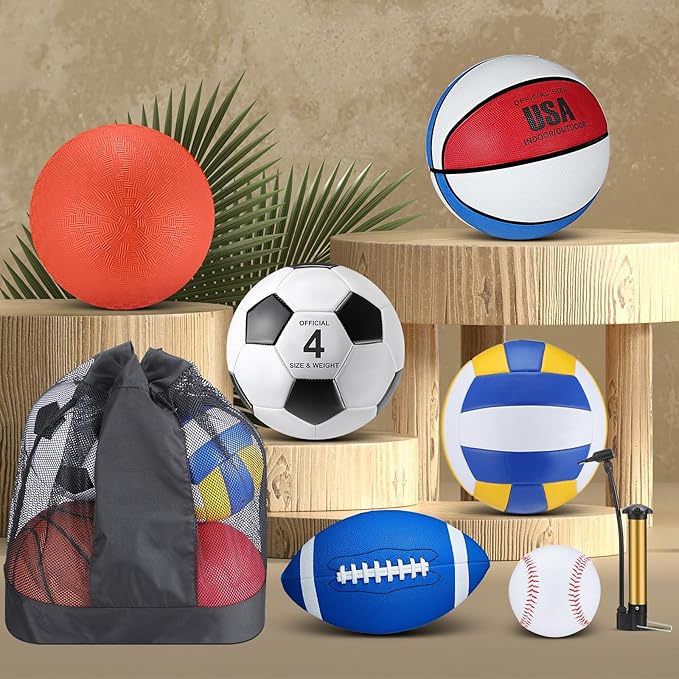 Leyndo 18 Pcs Sports Ball Set for Kids, Official Size Basketball Football Soccer Ball Playground Volleyball Baseball Outdoor Sport Equipment Bag and Pump Back to School Gift