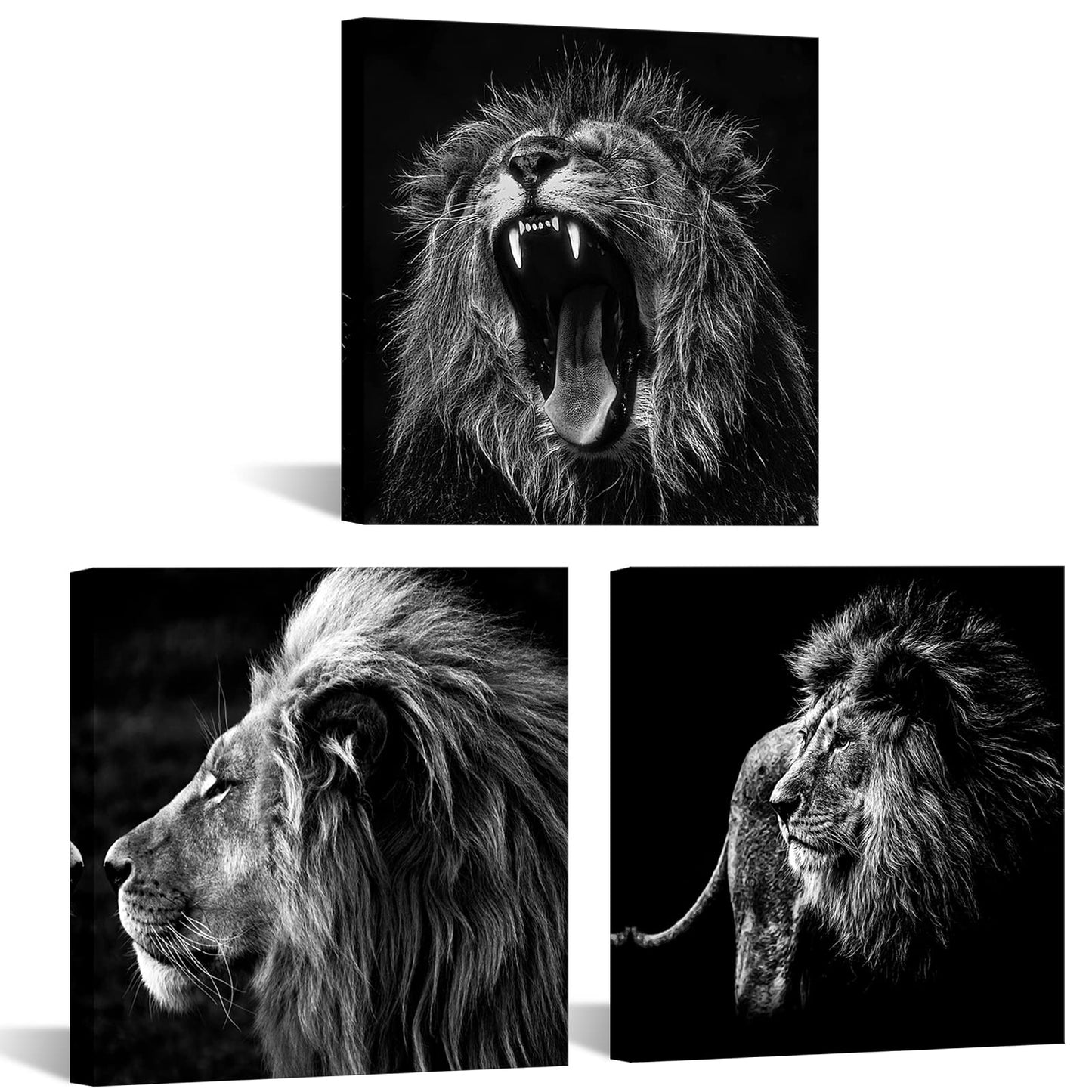 KREATIVE ARTS - 3 Panels Lion King Black and White Canvas Prints Wall Art Modern Painting Wall Pictures for Living Room Office Decoration Ready to Hang (12x12inchx3pcs/set)