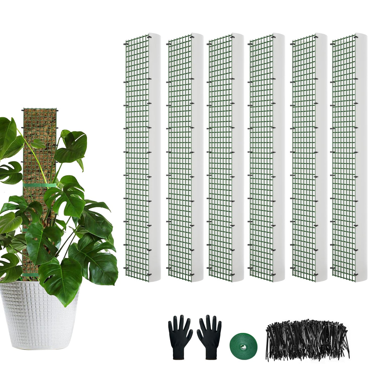 60"/40"/24" Metal Moss Pole, D Shape Sphagnum Moss Pole, Moss Poles for Climbing Plants, Monstera, Indoor Climbing Plants (6Pcs 24")