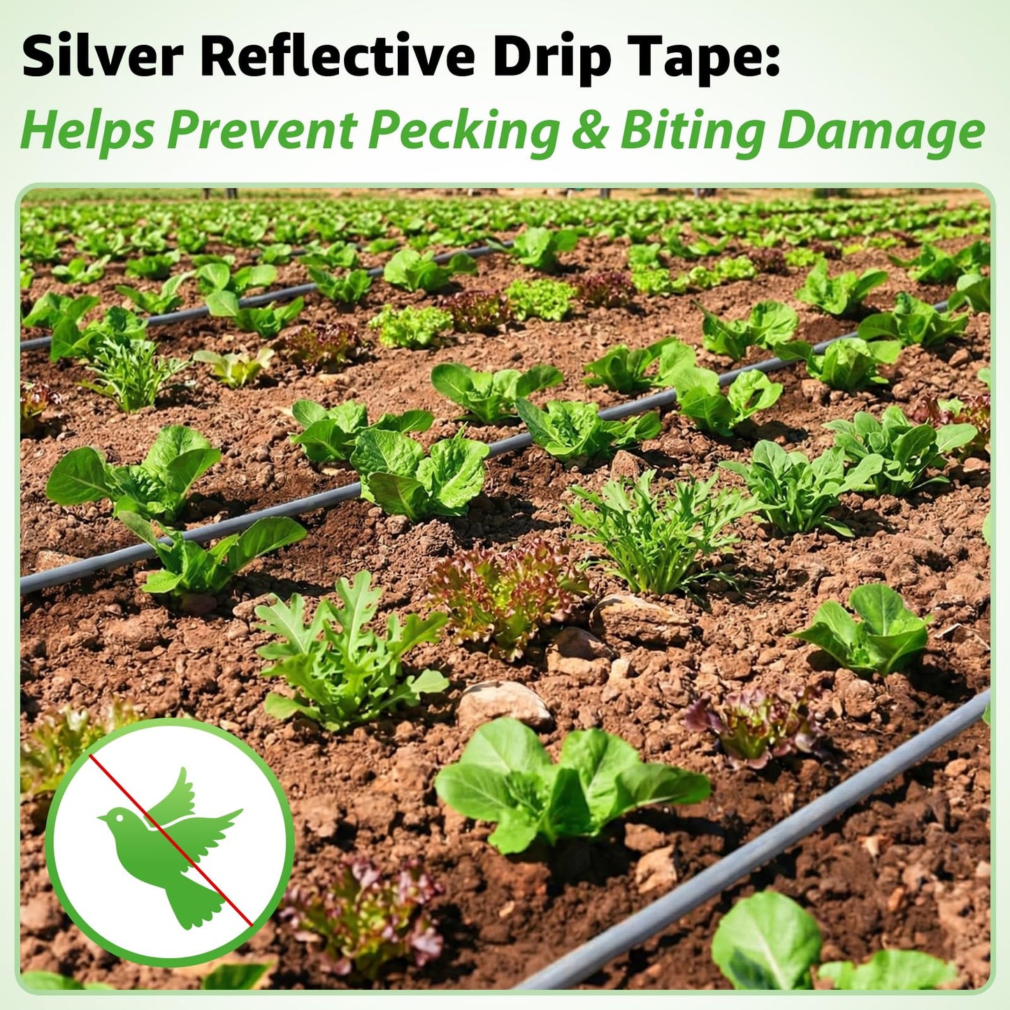3000FT 5/8" Drip Tape Irrigation, 16 Mil Heavy Duty with 6" Emitter Spacing, Silver Reflective Drip Tape Resistant to Pecking & Biting, Heat-Safe for Seedlings, Ideal for Garden Farm Greenhouse Patio