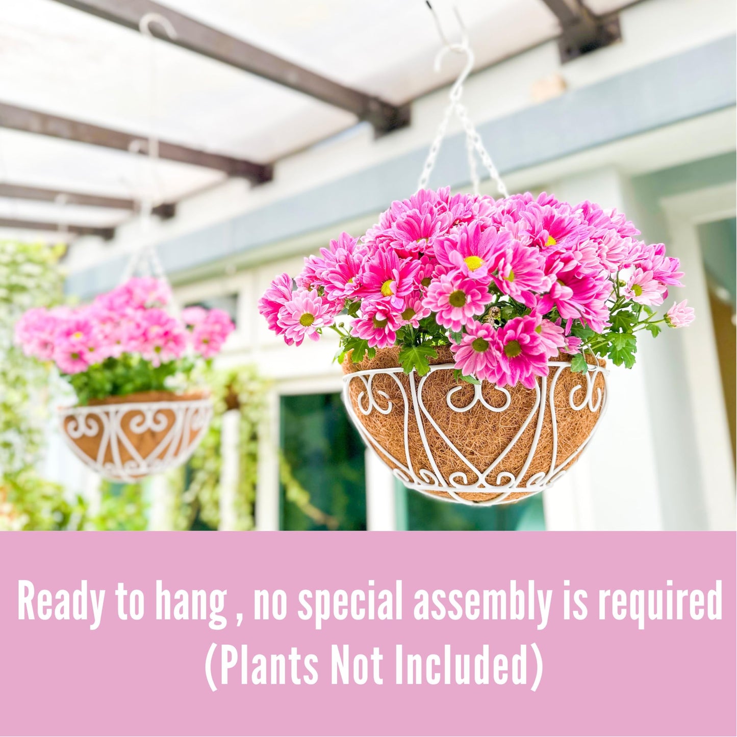 LaLaGreen Hanging Baskets for Plants (2 Pack, 10 Inch) Small Hanging Flower Pots with Coco Liner, White Metal Wire Round Plant Holder with Hanger Hook Chain Outdoor Deck Patio Balcony Garden Decor