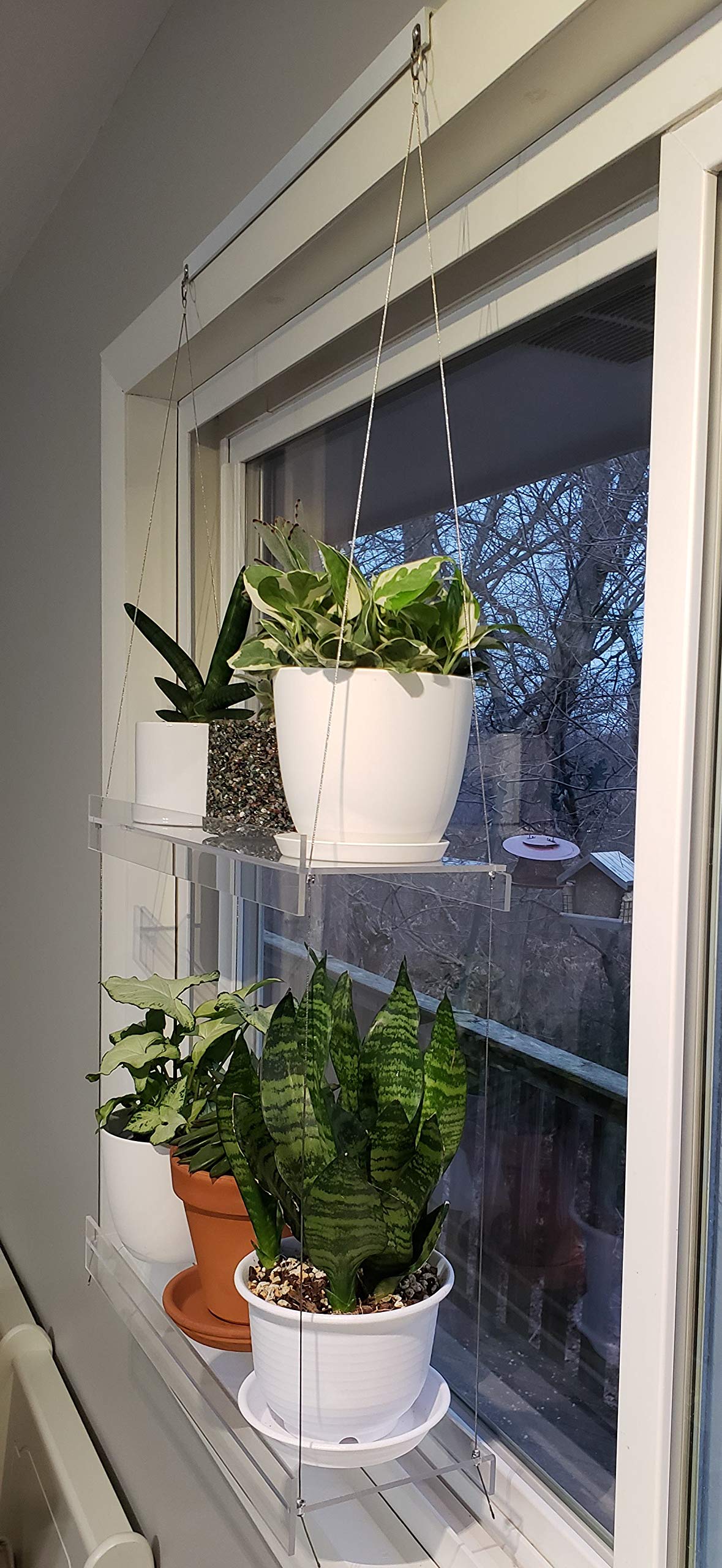 SUPREMETECH Hanging Acrylic Shelves for Windows (28" Wide, 3 Shelves - 46" Tall)