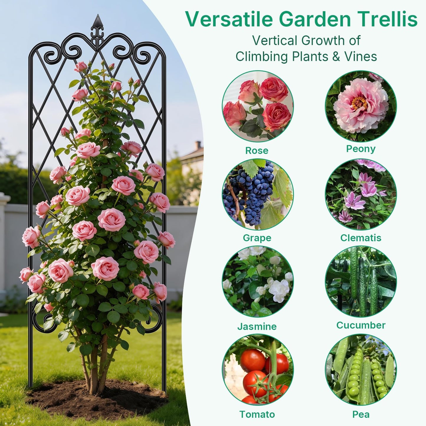 Amagabeli Garden Trellis for Climbing Plants 47” x 16” Rustproof Black Iron Plant Trellis Potted Vines Vegetables Flowers Patio Metal Wire Lattices Grid Panels for Ivy Cucumbers Clematis 2 Pack GT03