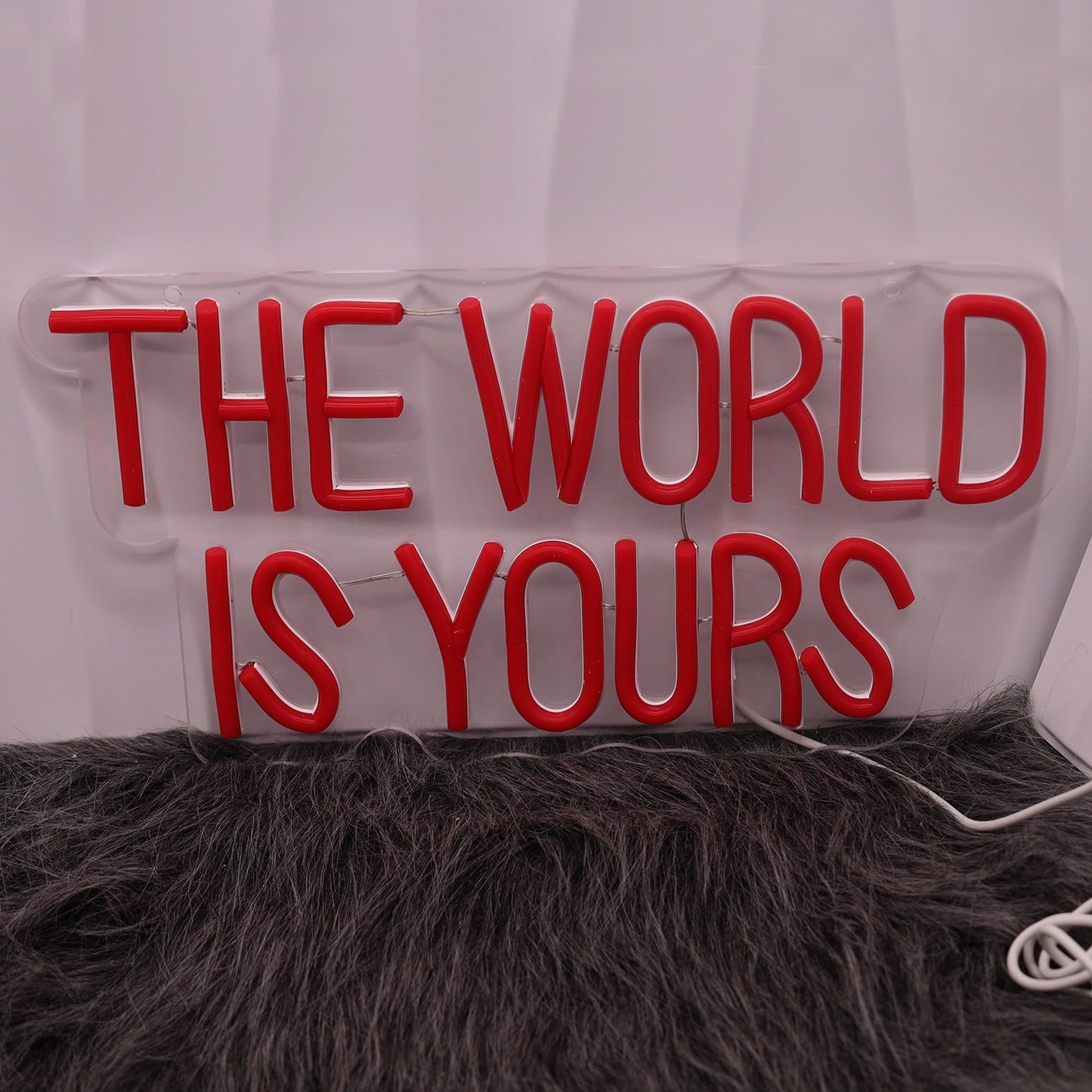 The World is Yours Neon Sign Dimmable The World is Yours LED Sign Wall Decor Gift Suitable for Bedroom Game Room Man Den Cinema Party 14 * 6.8 Inch