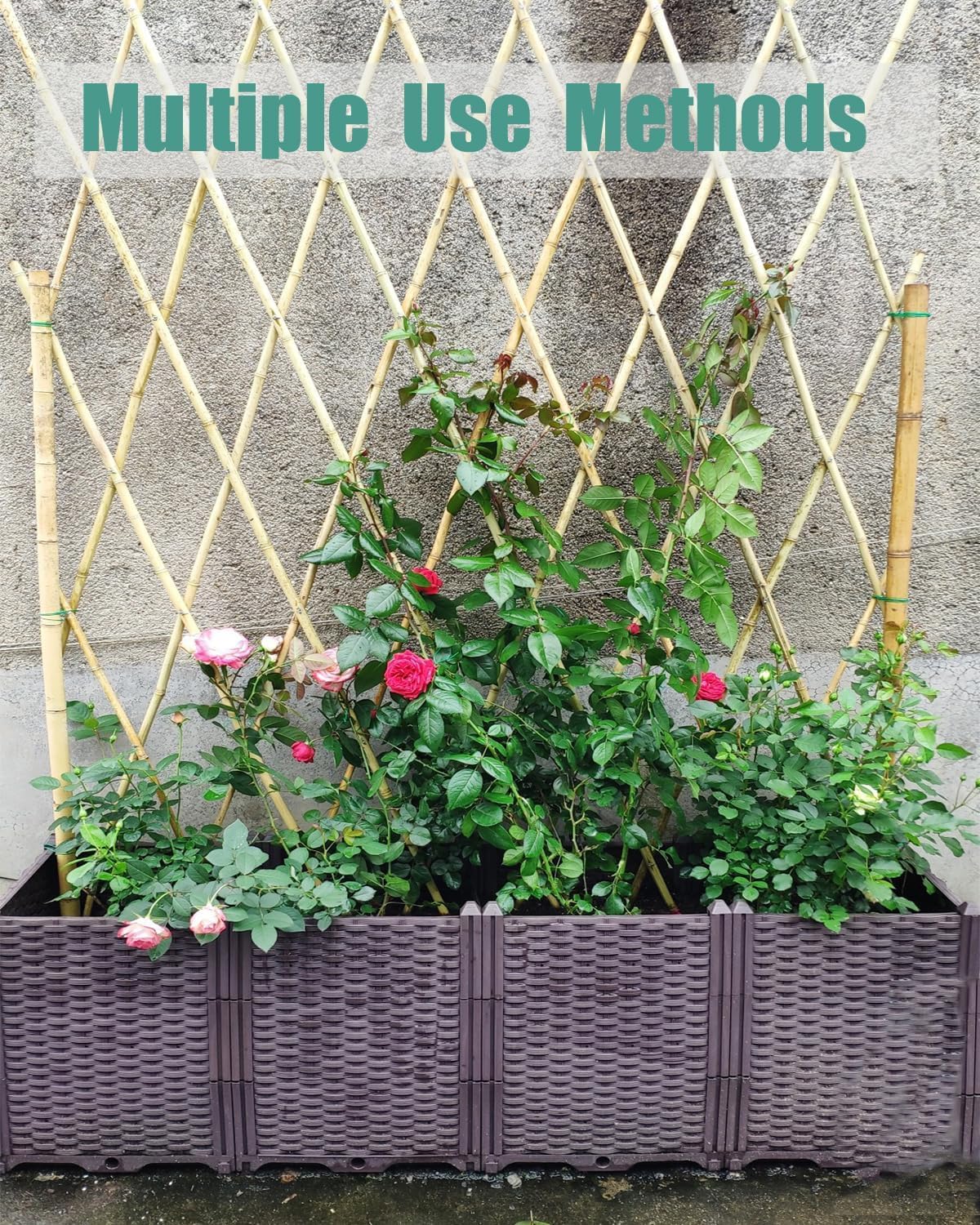 6 Ft Bamboo Stakes with 100 Twist Ties Natural Bamboo Garden Stakes for Tomatoes Cucumber Grapes Pole Beans Trees Potted Dahlia Flowers and Climbing Plants - Pack of 20 Bamboo Sticks