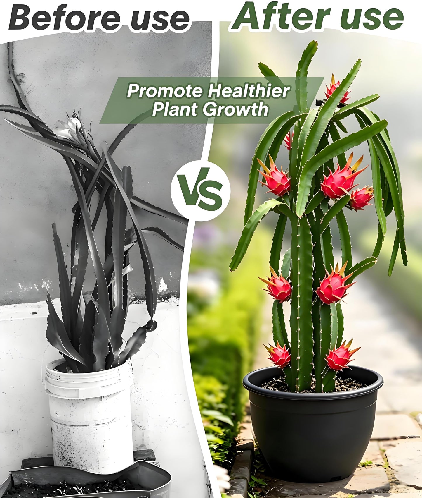Dragon Fruit Trellis for Climbing Plants Indoor Outdoor, Heavy Duty Metal Adjustable Vertical Garden Support for Indoor Outdoor Potted Plants, Tomato, Cactus, Roses,Vines(10 * 10 * 47inch,1PC)