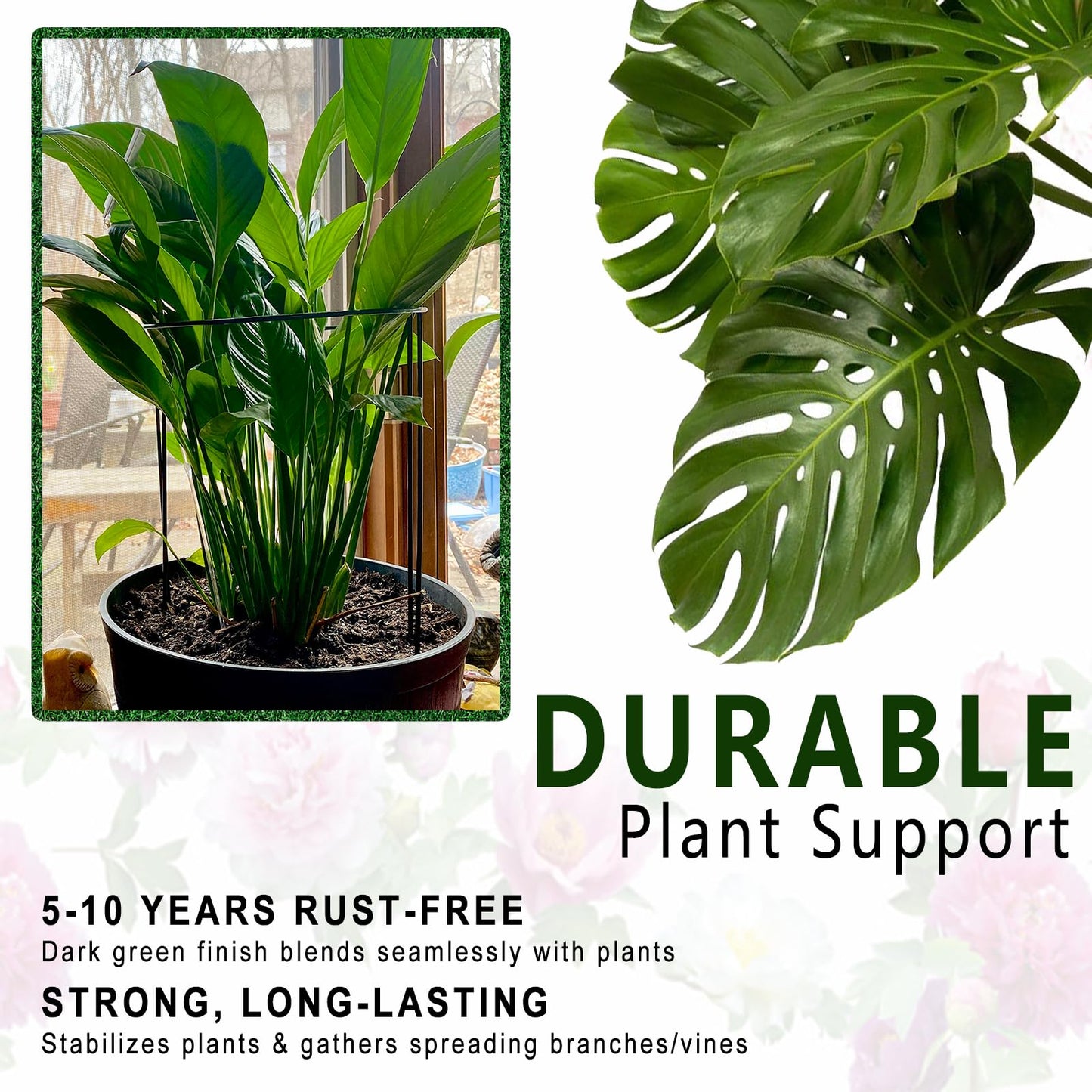 6 Pack Detachable & Assemblable Metal Plant Support Stakes - Garden Support Ring, Tomato Seedling Cage, Young Monstera/Pothos for Growing Indoor/Outdoor (10" W x 16" H)
