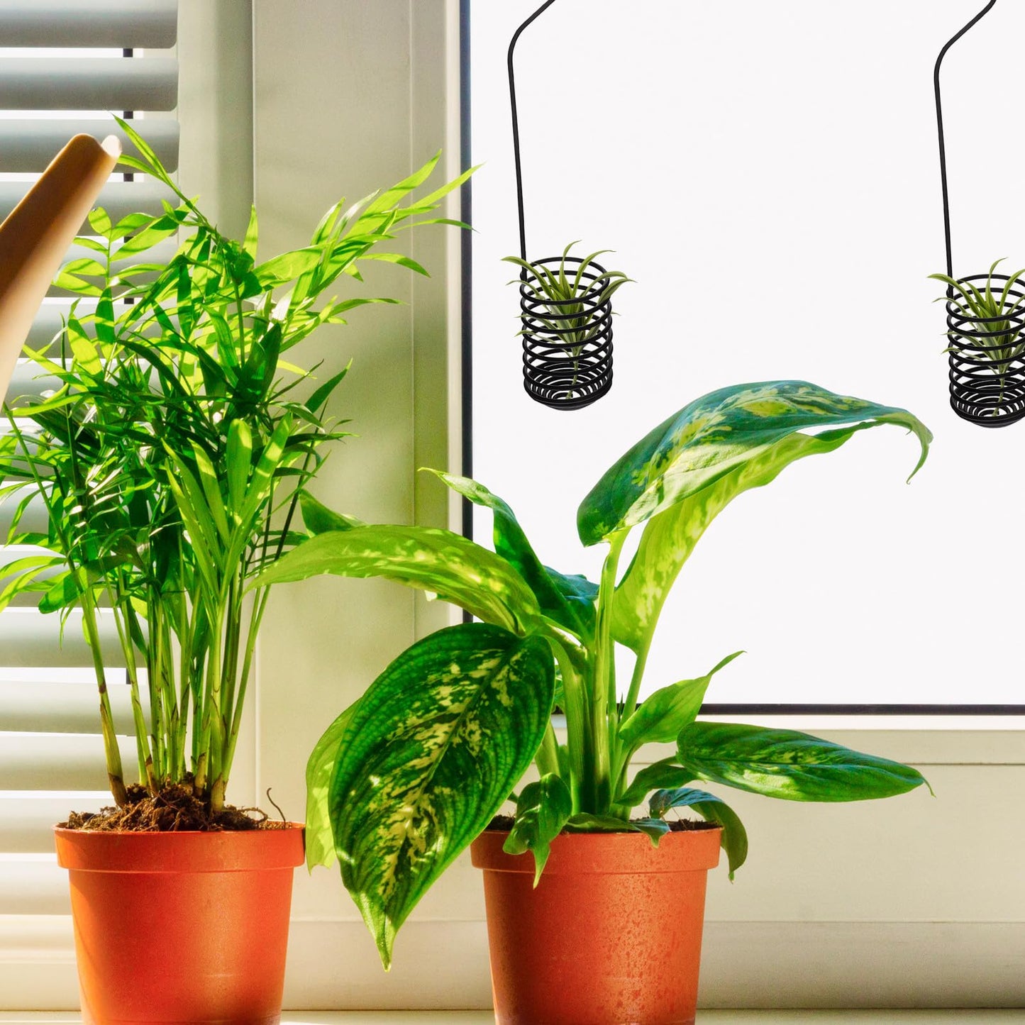2pcs Metal Tillandsia Hanging Hooks Air Plant Holders 37cm Spiral Air Shelf Rack for Indoor Outdoor Wall Plant Display