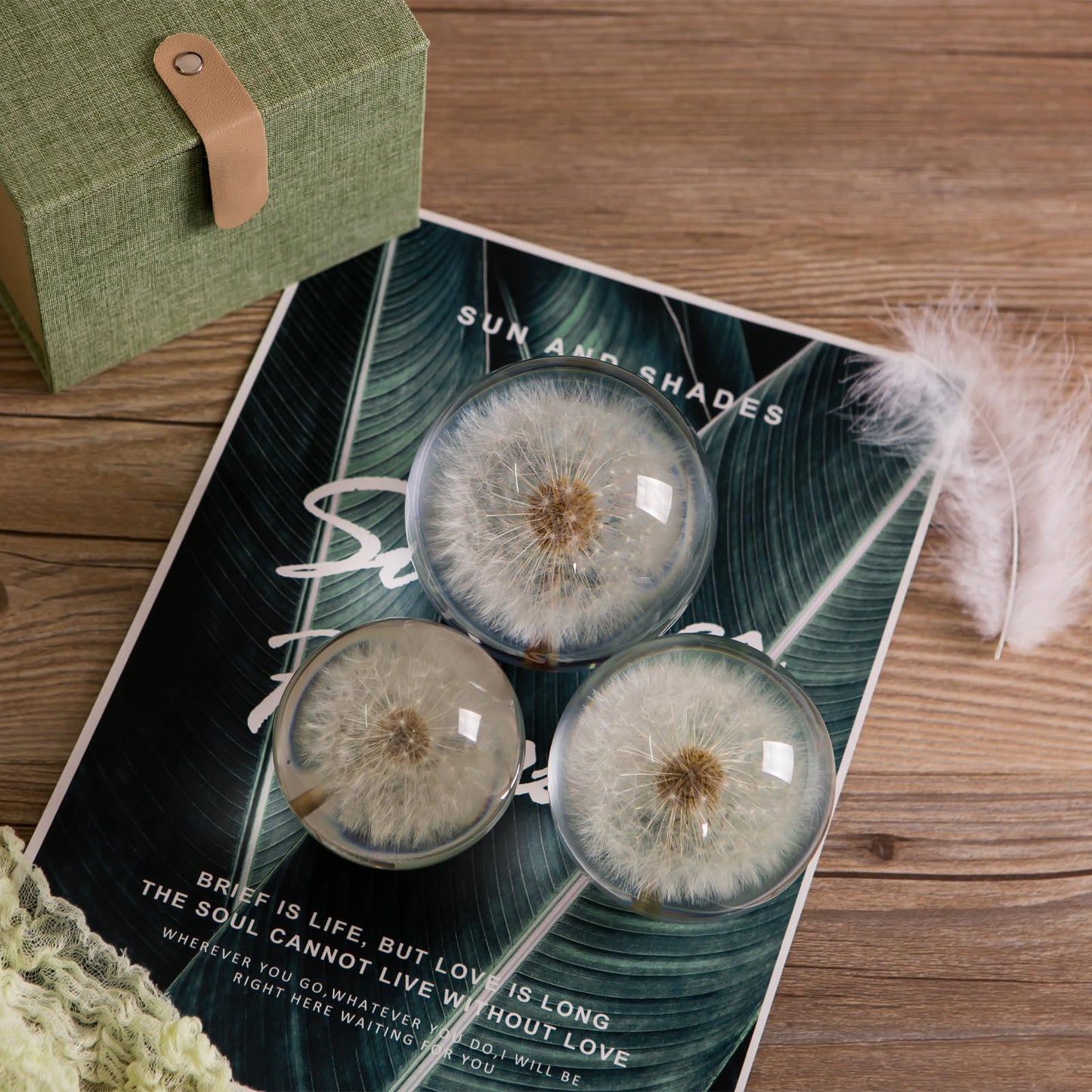 Paperweight Dandelion Dream Ball. Crystal Wishing Ball. Unique Paperweight Made of Dandelion. Gift for Women Men (Mom, Dad, Teacher), Birthday, Wedding, Valentine's Mother's. (8CM)